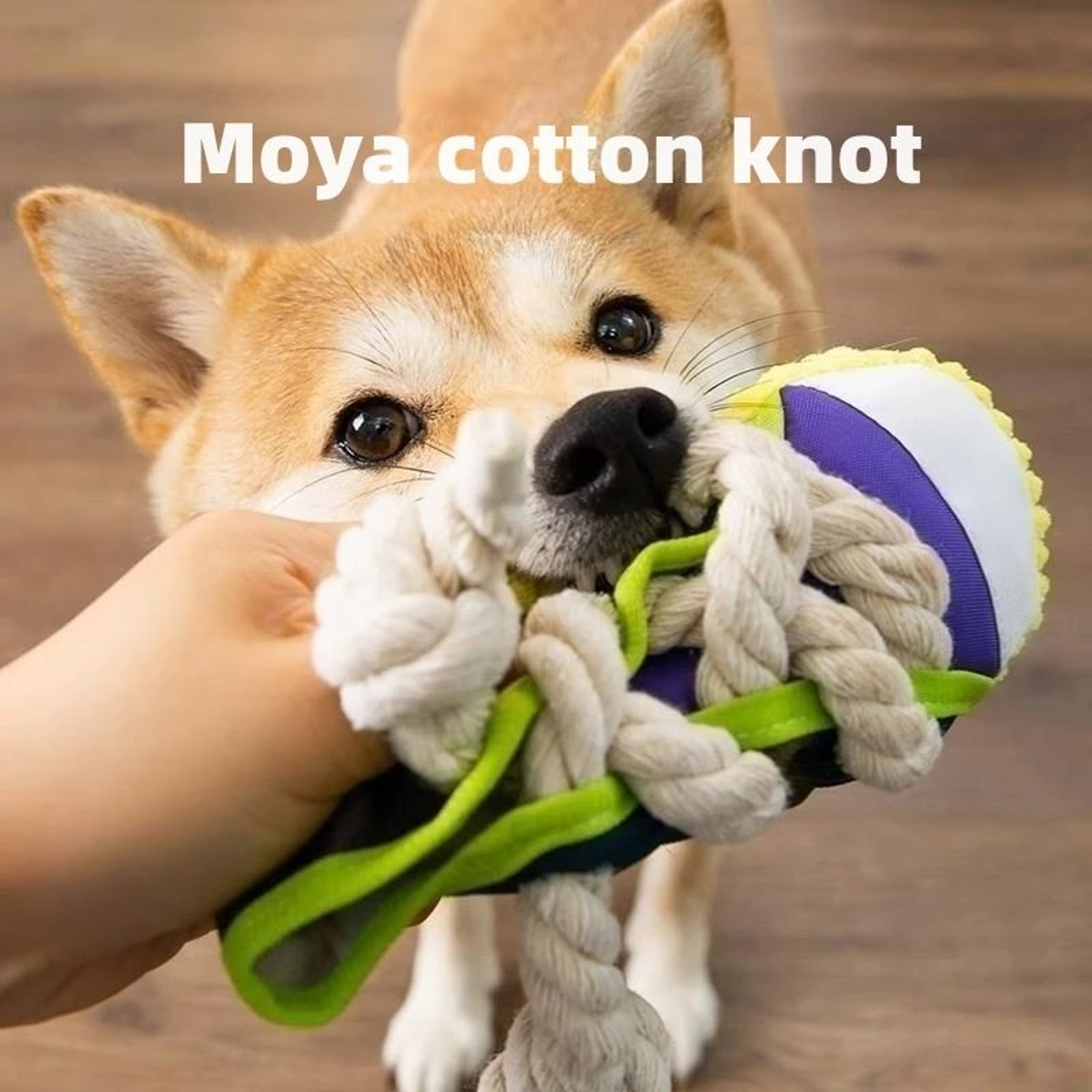 Interactive Dog Chew Slipper Toy  Cotton Rope Teeth Cleaning Squeaky Shoe With Bell  BB Airbag 2