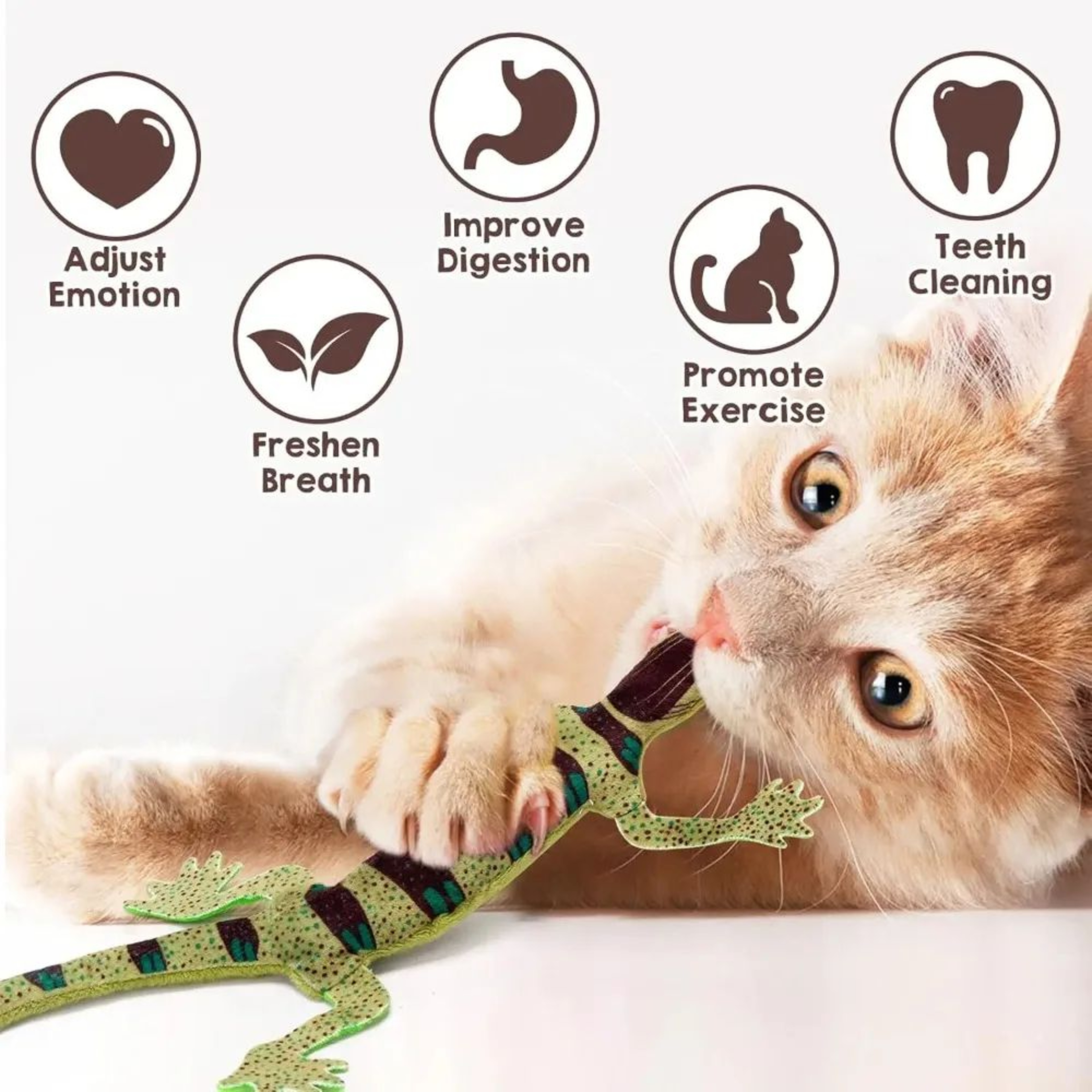 BiteResistant Catnip Lizard Chew Toy  Teeth Cleaning Interactive Indoor Cat Toy For Kittens  Cats H 1