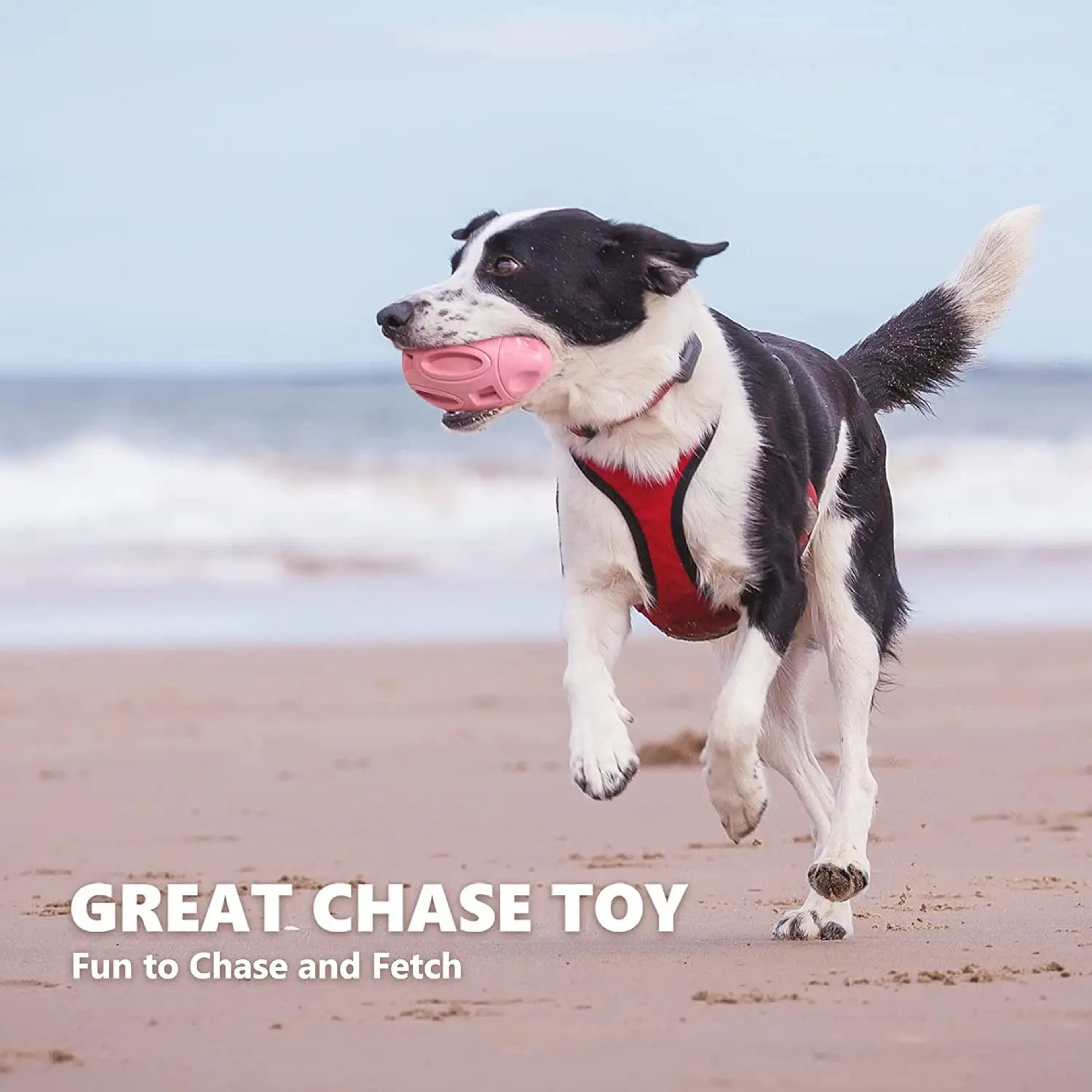 Durable Squeaky Rubber Chew Ball  Teeth Cleaning Toy For Aggressive Chewers Medium  Large Dogs 2