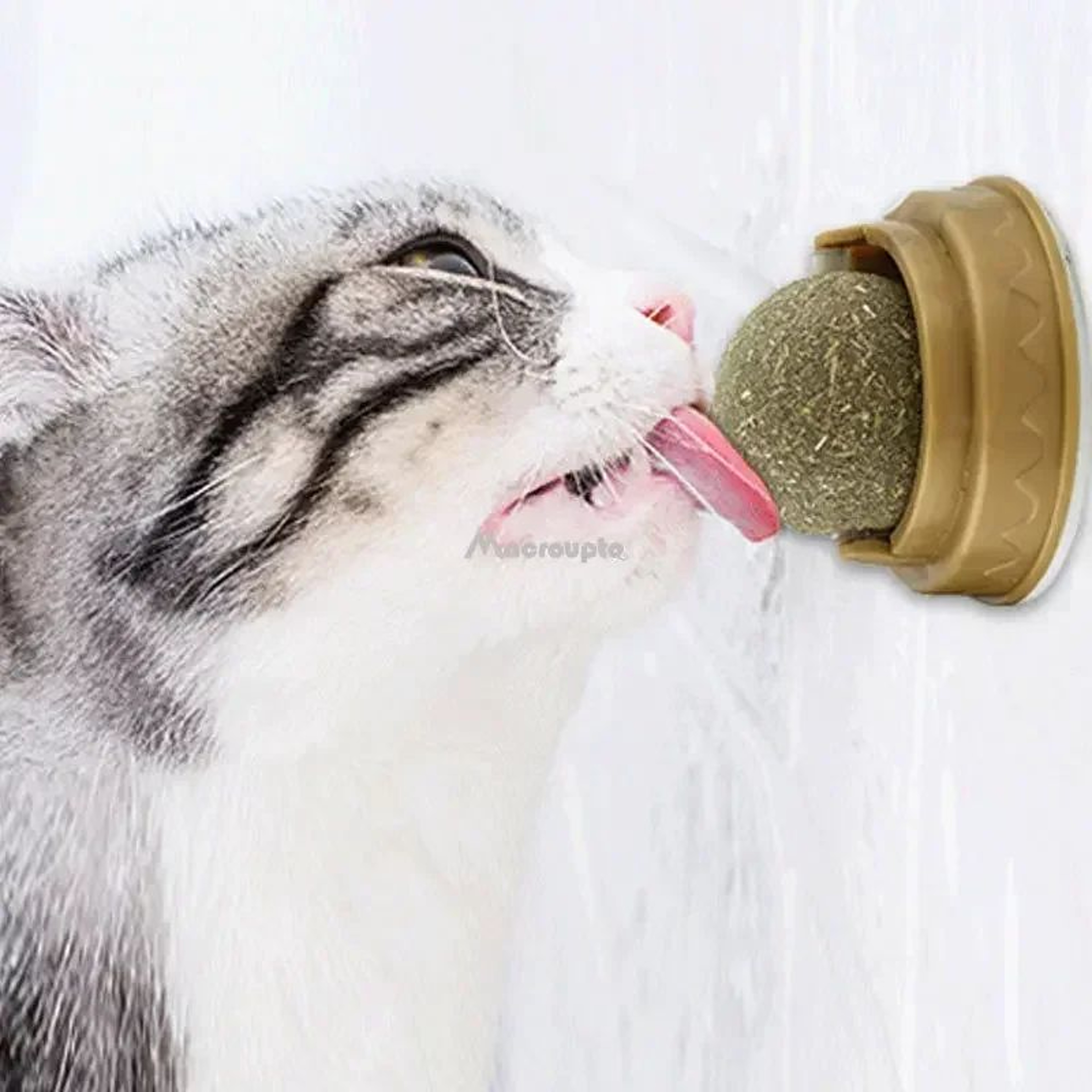 StickOn Catnip  Cat Grass Wall Ball Toy  Natural Lickable Treat Roller For Digestion  Boredom Relie 0