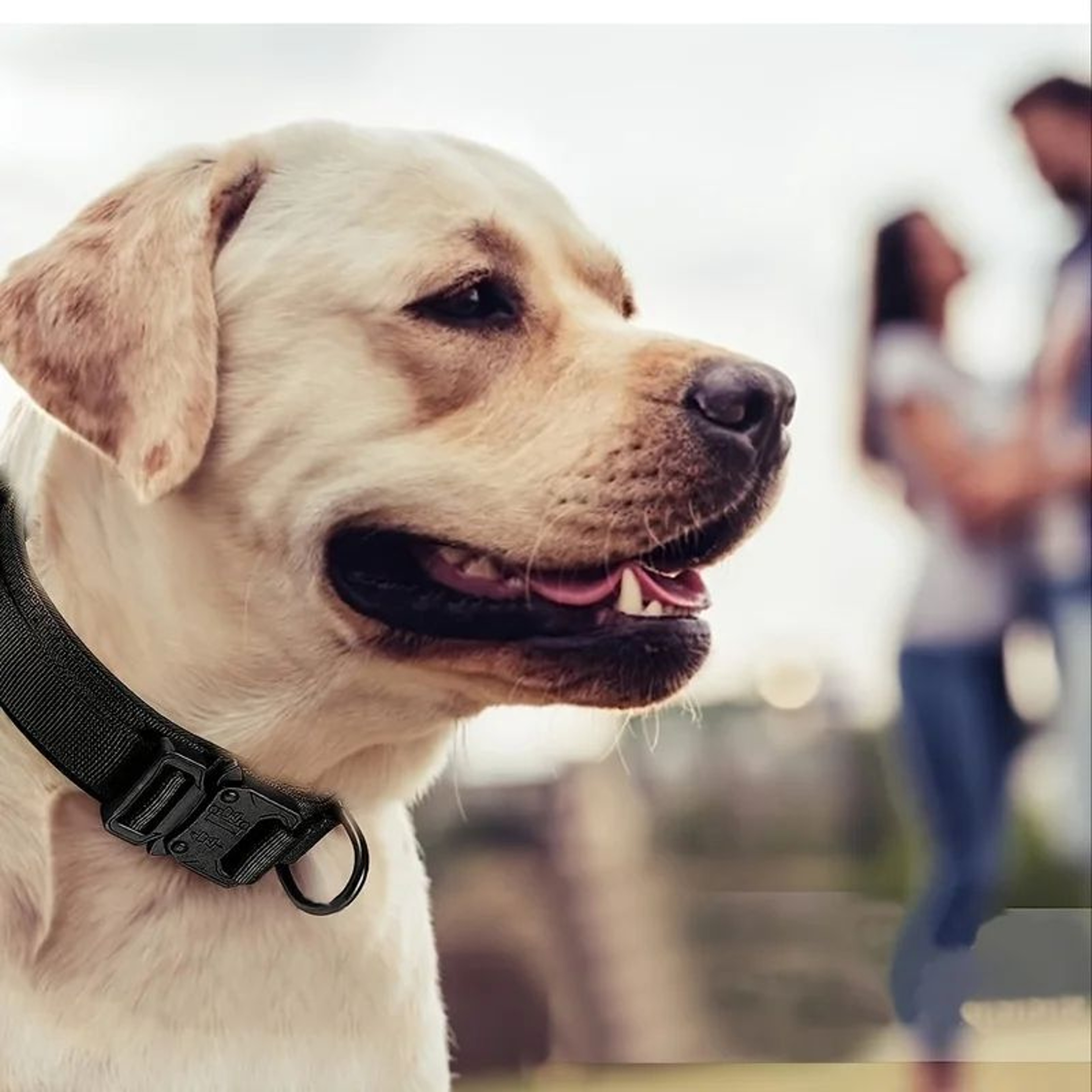 Tactical Dog Collar With Handle  Adjustable Military Nylon Training Collar Heavy Metal Buckle For L 4