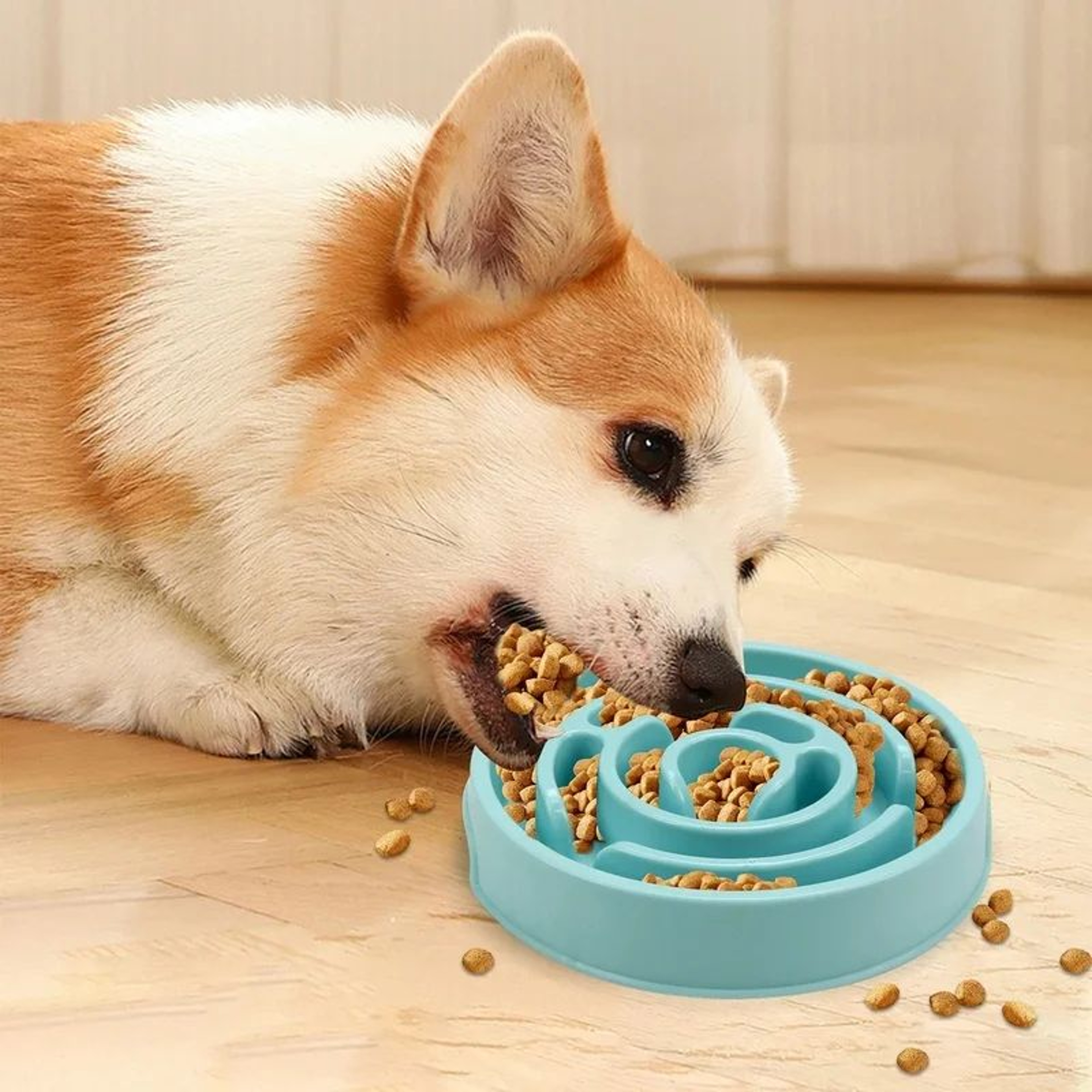 NonSlip Slow Feeder Dog Bowl  Fun AntiGulping Puzzle Feeding Dish For Puppies  Dogs EcoFriendly Slo 4
