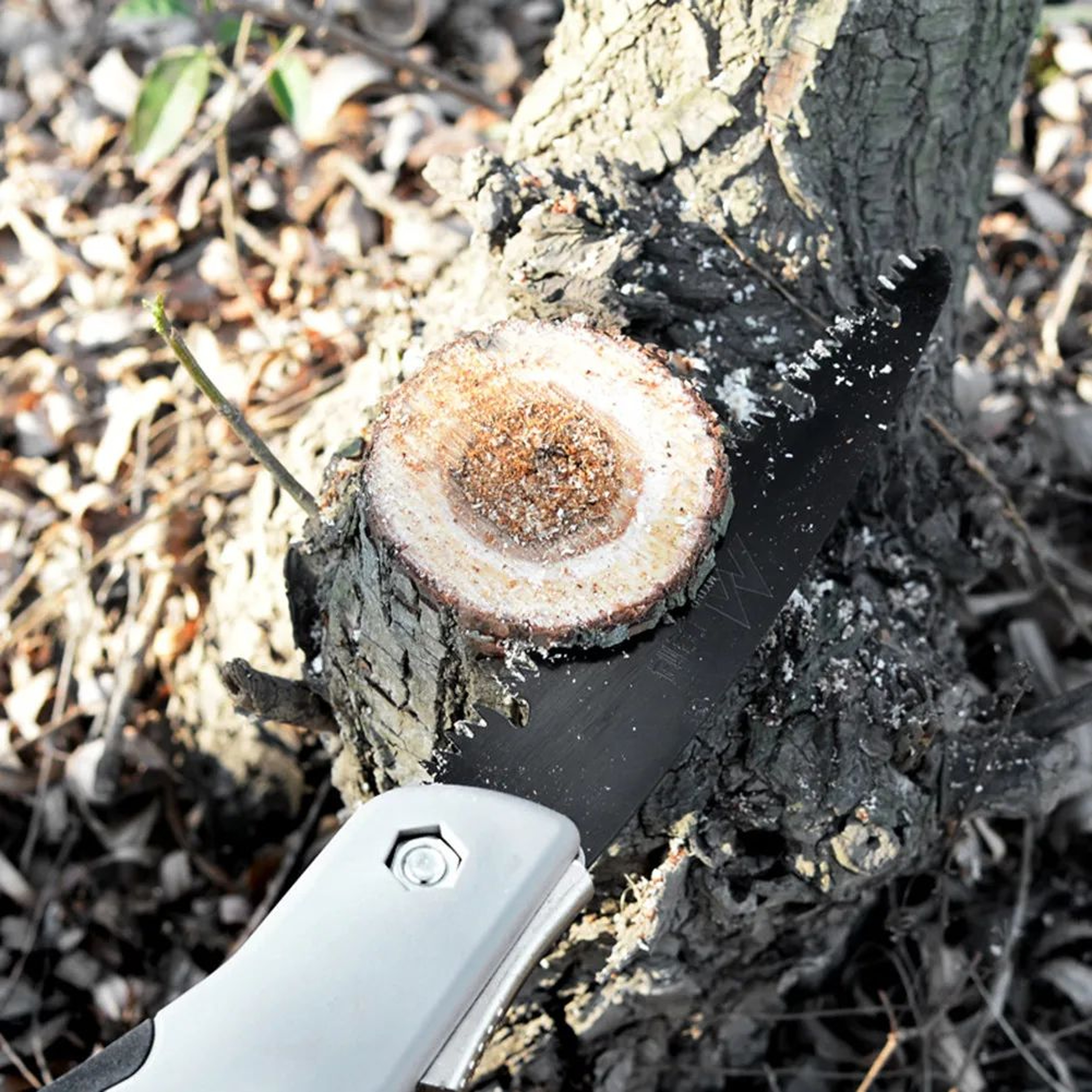 Folding Hand Saw For Wood  Branch Cutting  Portable Tree Pruning Saw For Camping Hiking  Trimming W 4