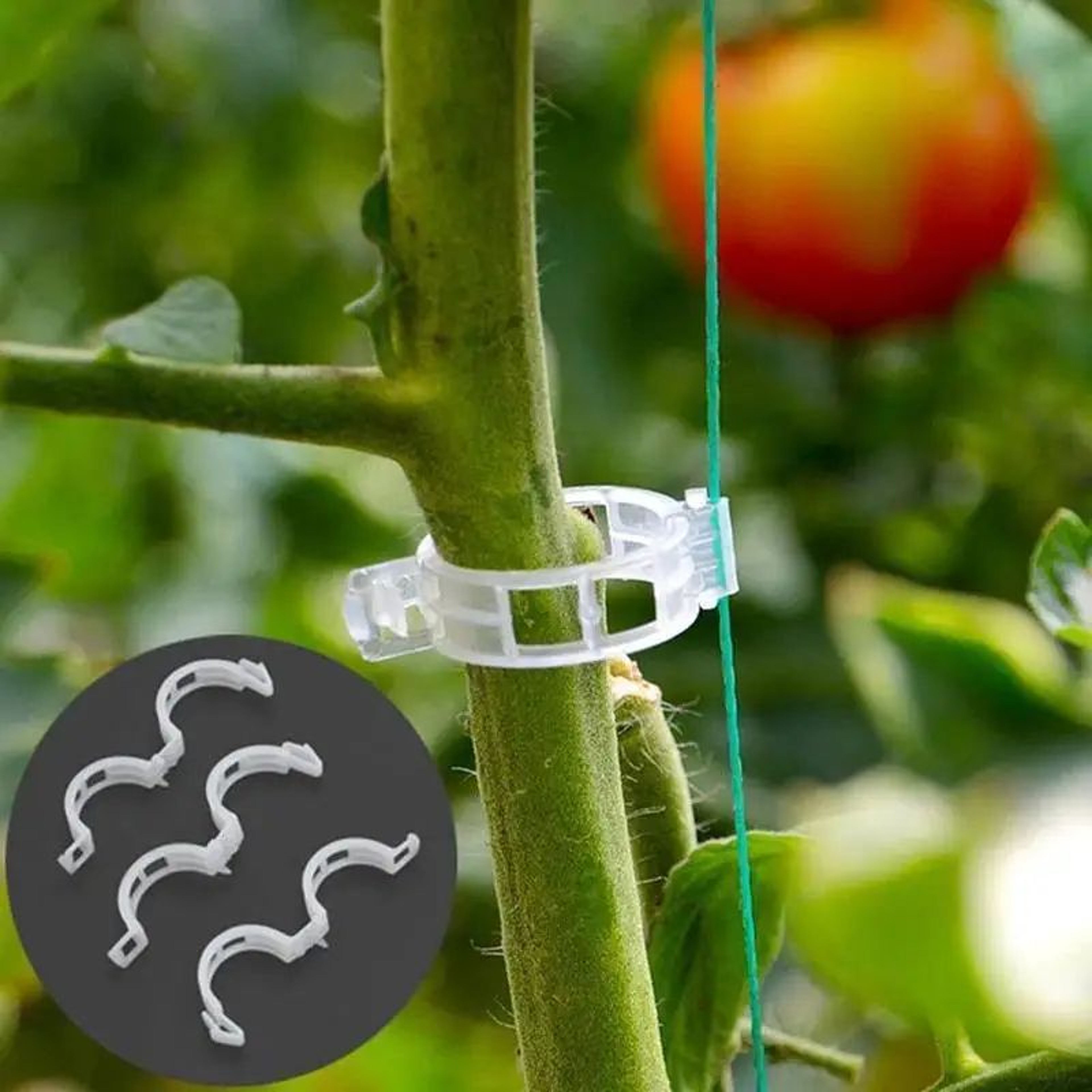 Reusable Plant Support Clips For Vines  Plastic Trellis Stem Fixing Connectors For Garden Orchard   4