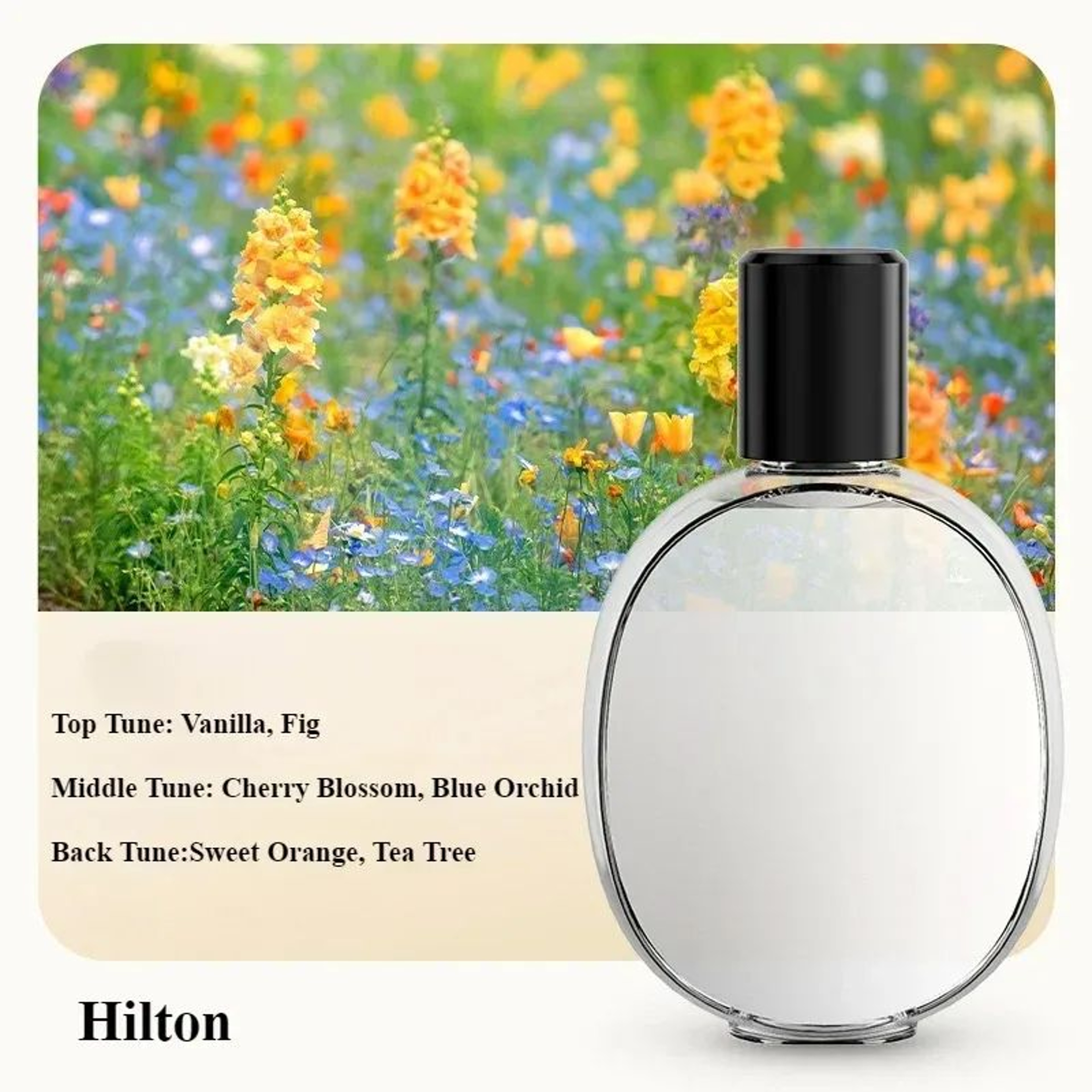Automatic Aromatherapy Machine Portable Perfume Diffuser  USB Nano Atomized Air Freshener For Deskt 7