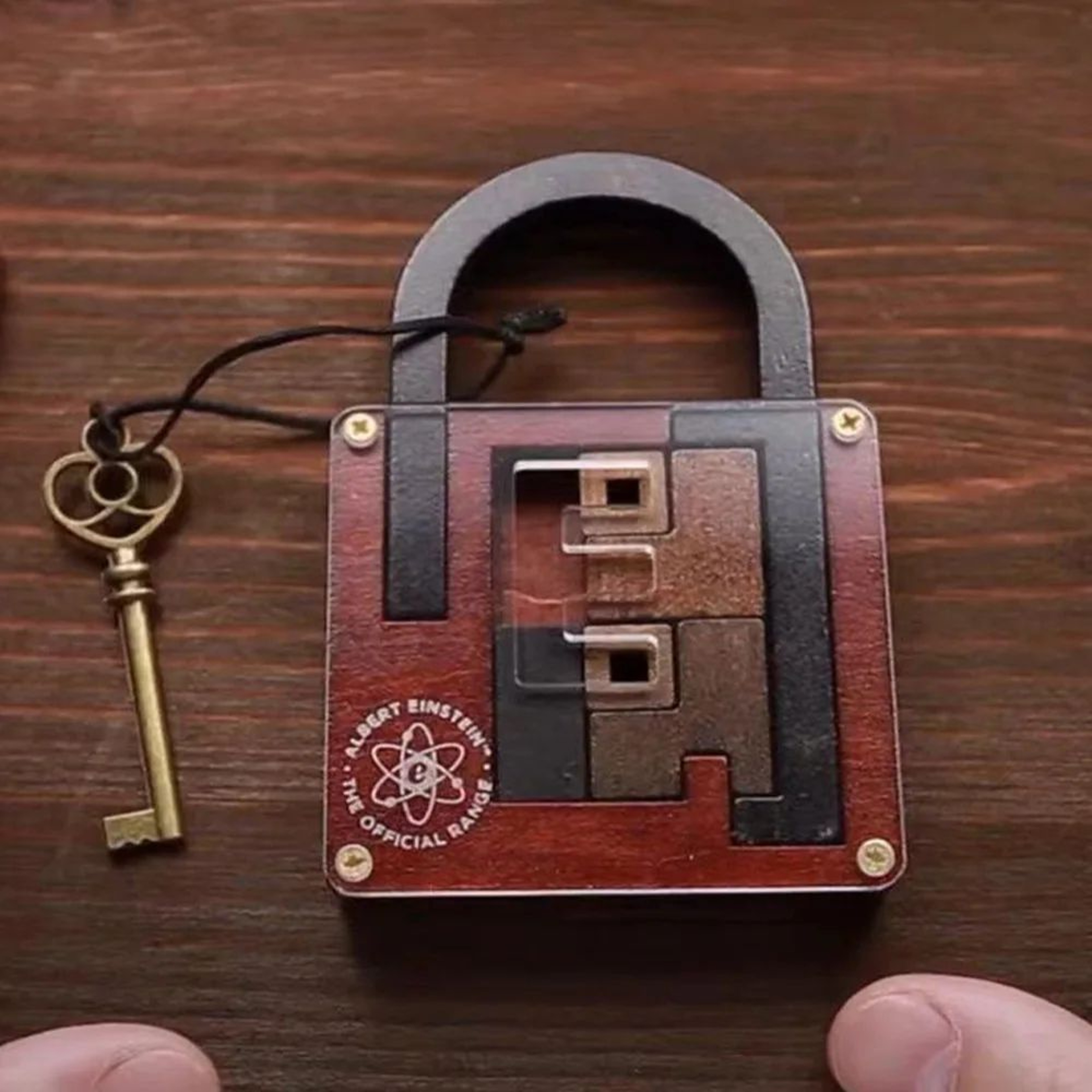 Classic Wooden Brainteaser Puzzle  IQ Lock Challenge Game For Kids Cognitive Development 5