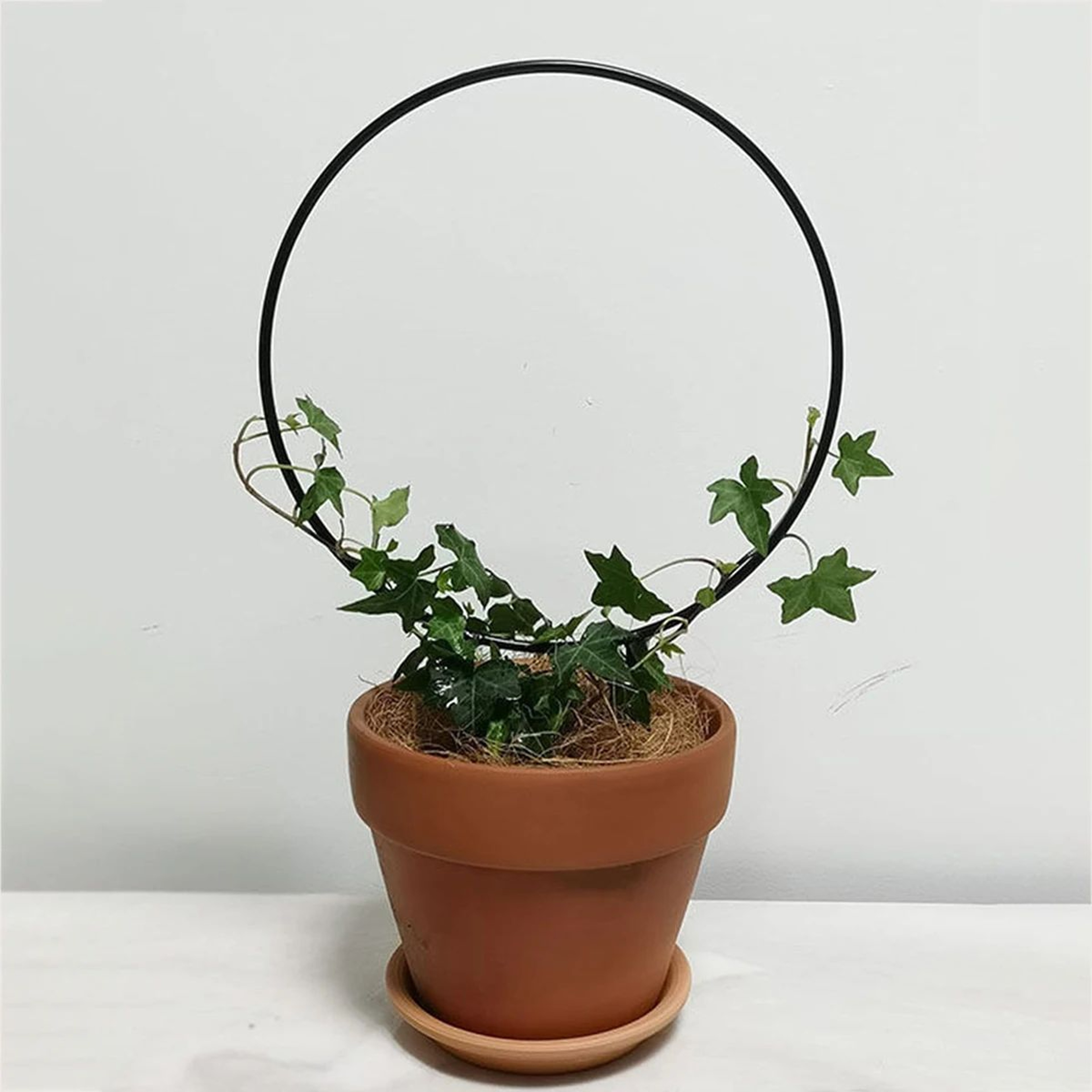 Black Iron Garden Trellis  Rustproof Climbing Plant Support For Indoor  Outdoor Decor 0