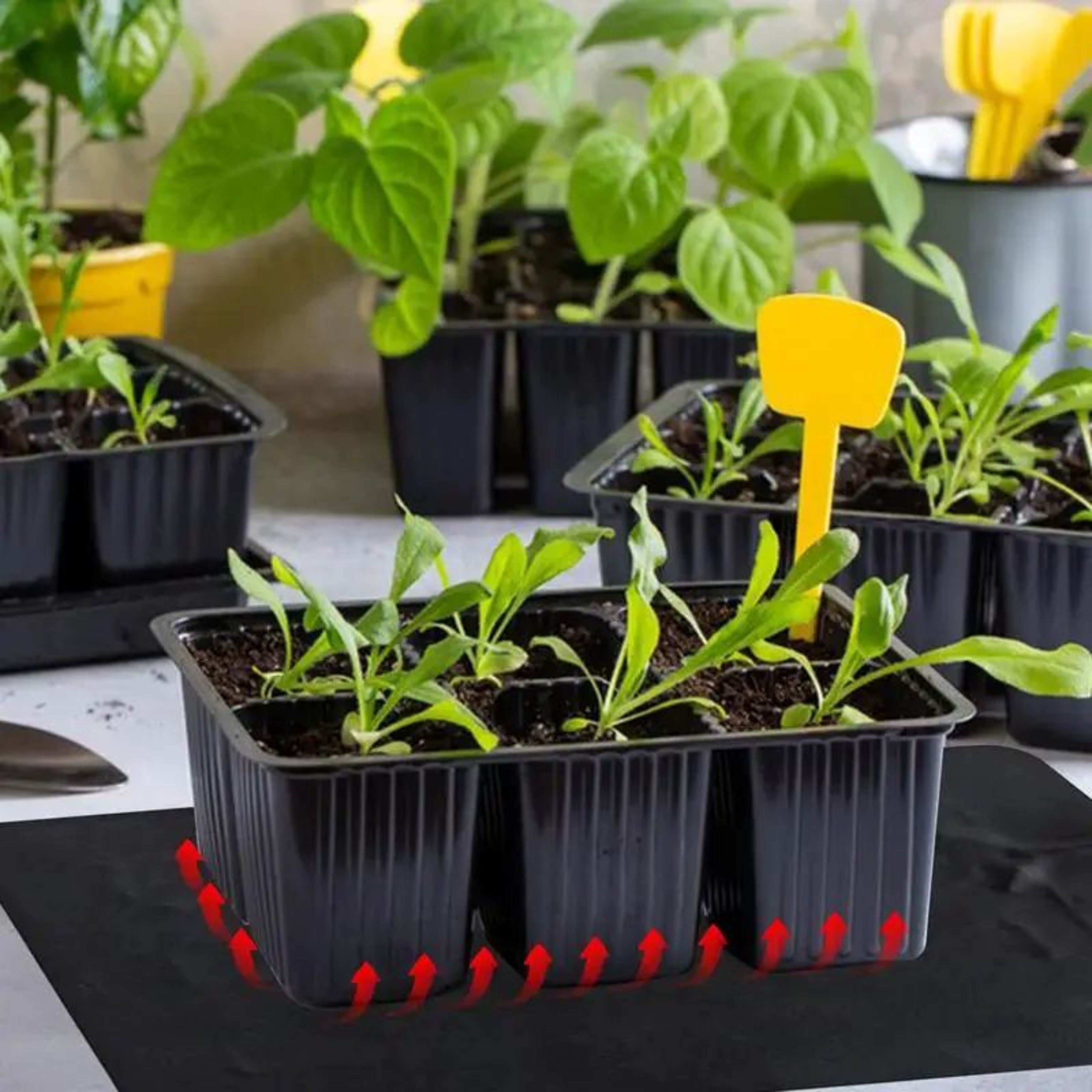 USB Plant Heating Mat 113F122F  Waterproof Seedling Heat Pad For Indoor Gardening  Hydroponics 2