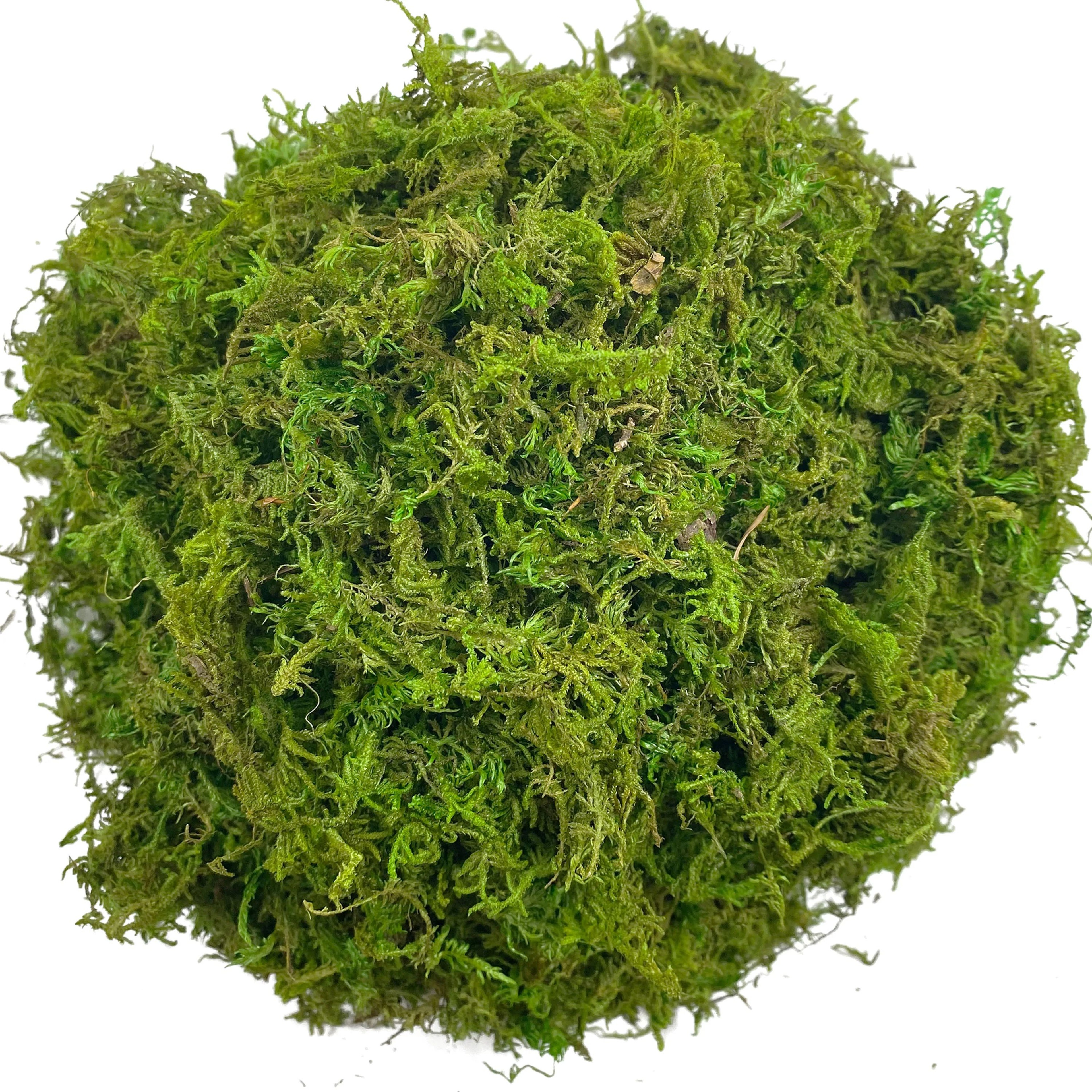 Artificial Green Moss For Plants  Faux Peat Moss Potting Mix  Craft Decor 5