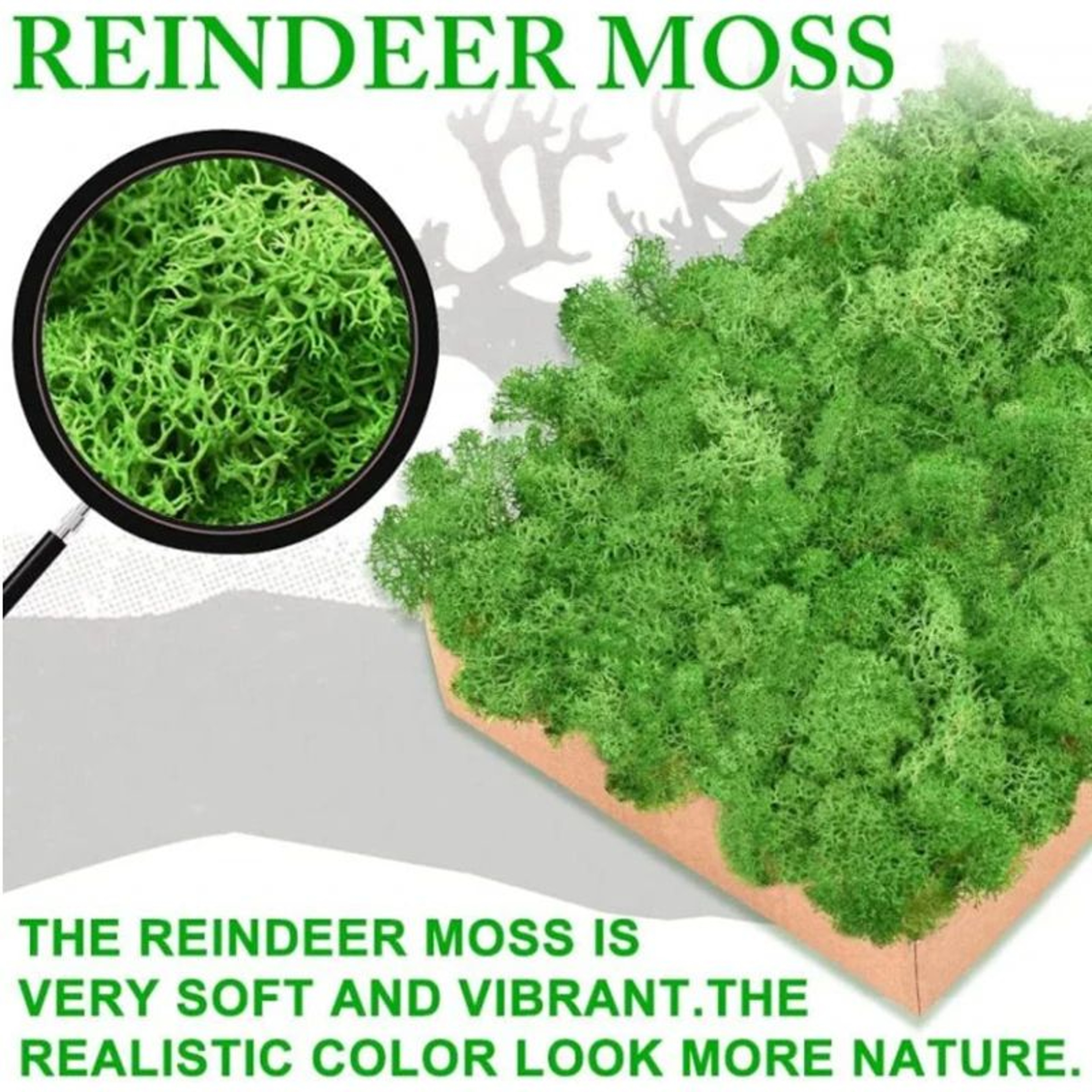 Premium Preserved Moss Decor  Realistic Artificial Green Moss For DIY Crafts Terrariums  Home Styli 0