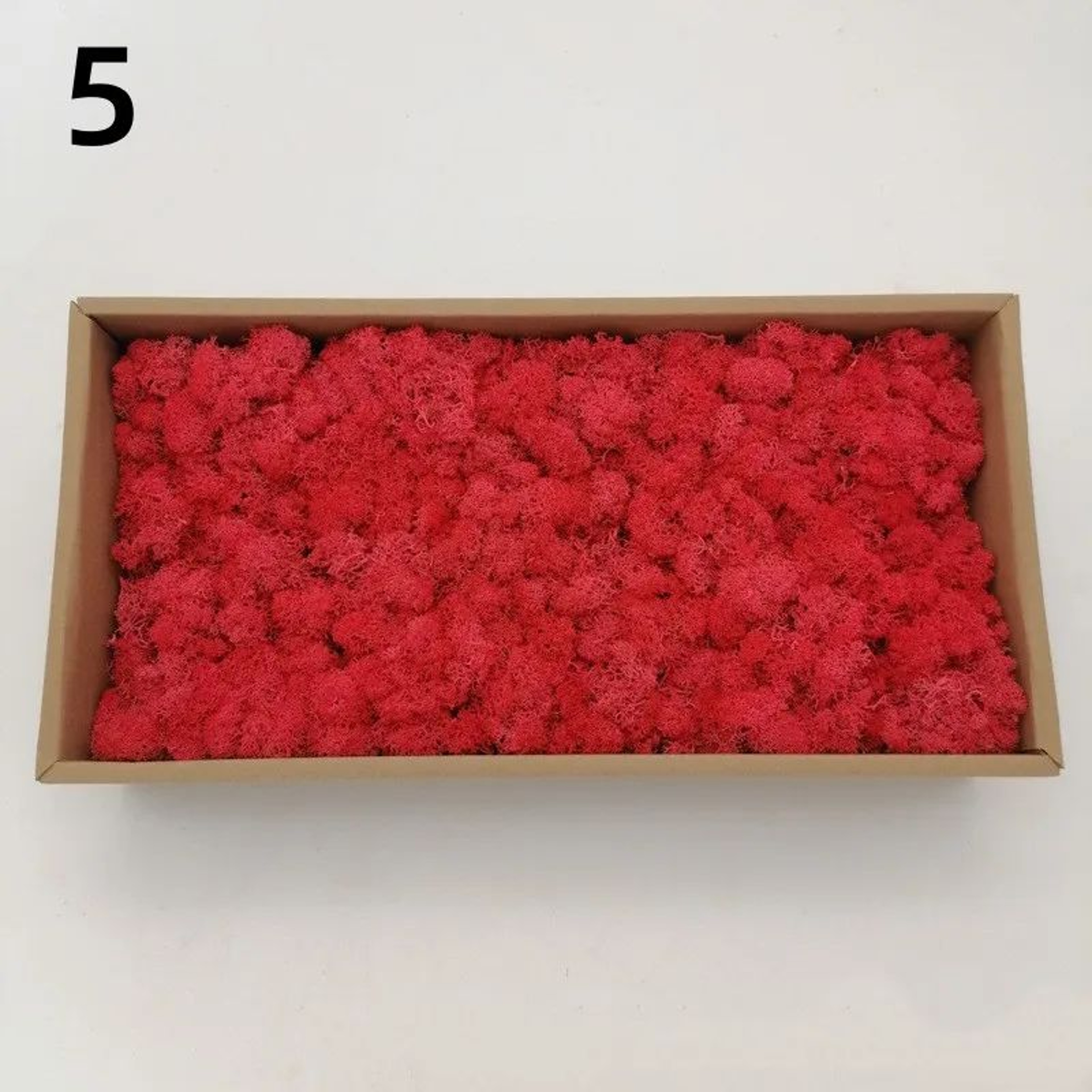 Premium Preserved Moss Decor  Realistic Artificial Green Moss For DIY Crafts Terrariums  Home Styli 6