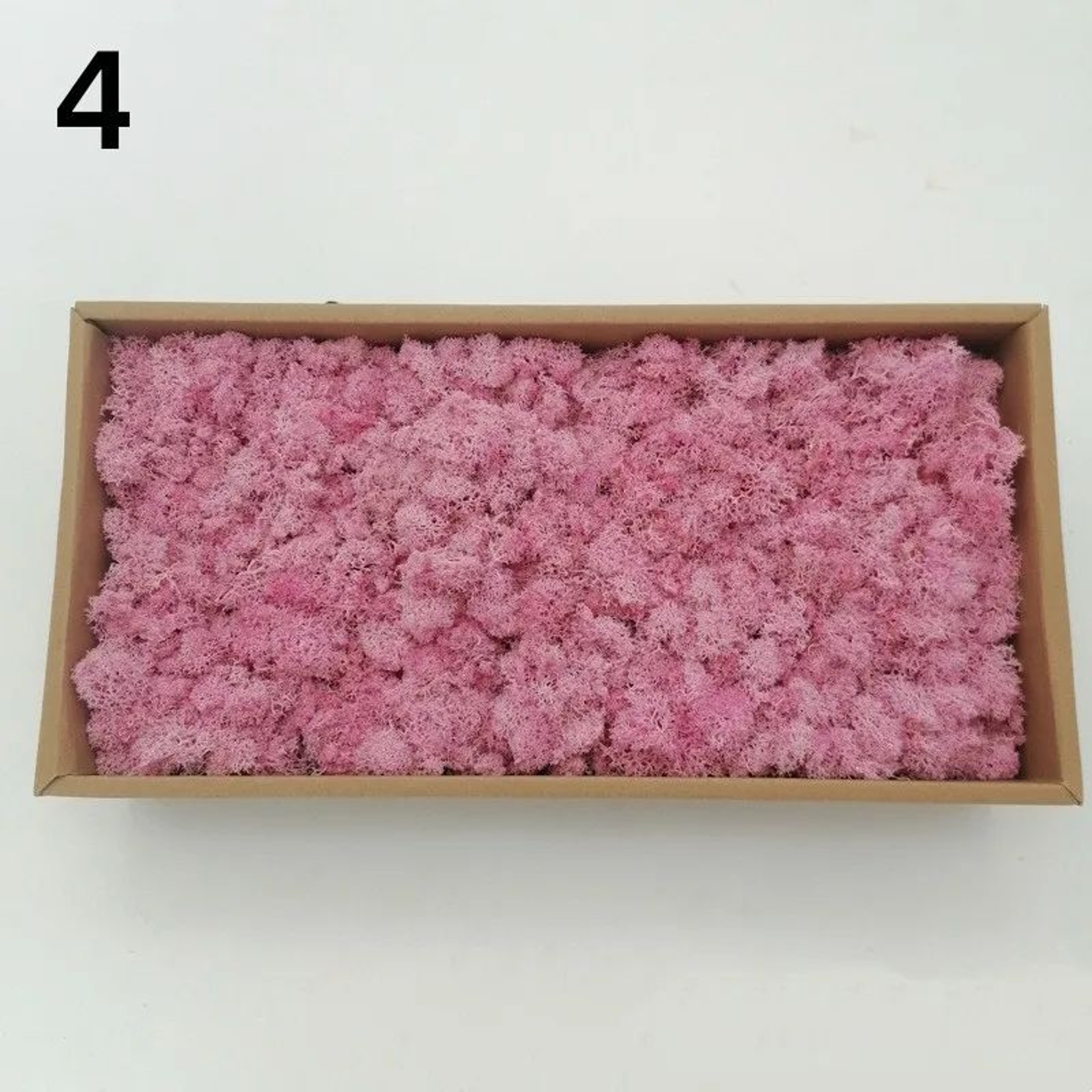 Premium Preserved Moss Decor  Realistic Artificial Green Moss For DIY Crafts Terrariums  Home Styli 15