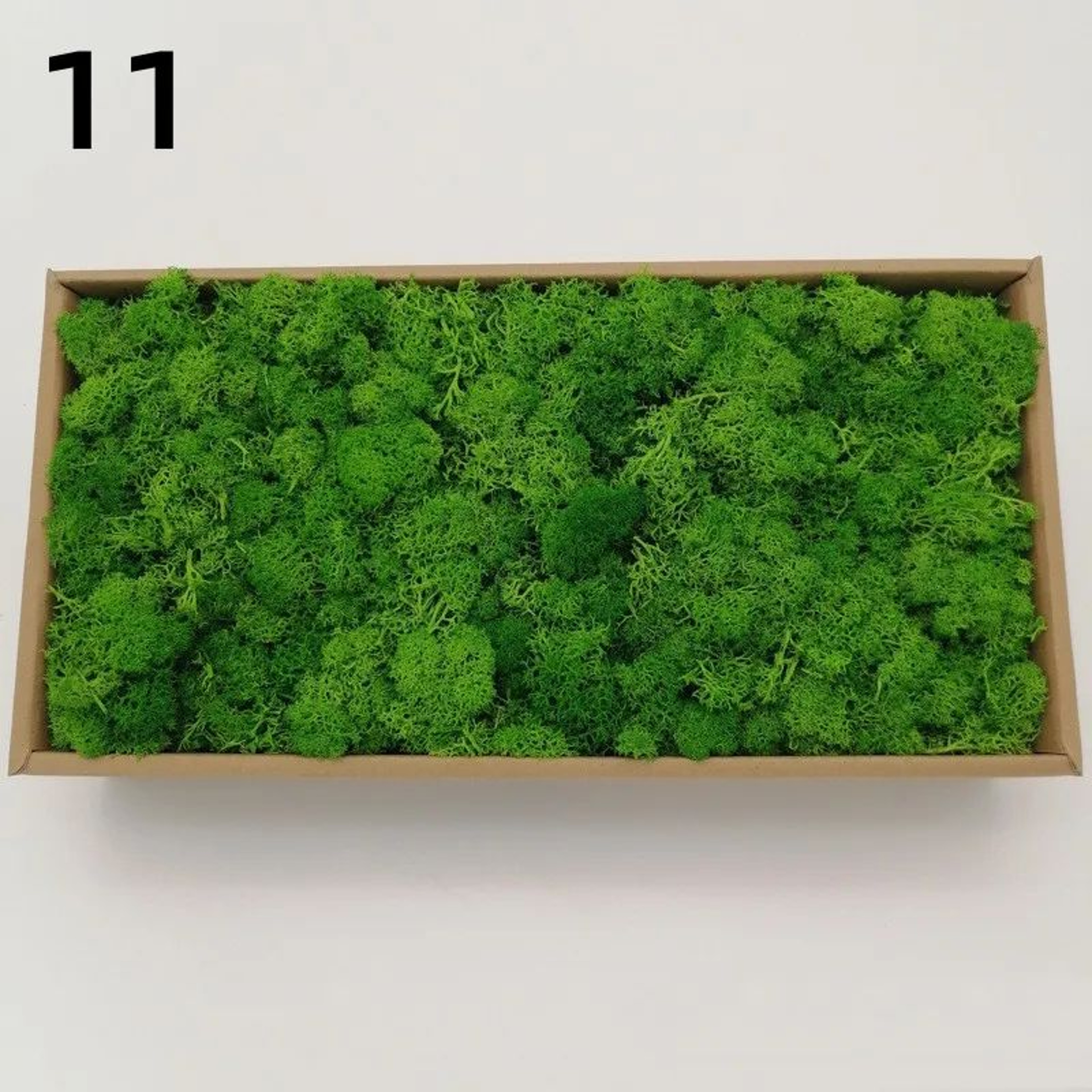 Premium Preserved Moss Decor  Realistic Artificial Green Moss For DIY Crafts Terrariums  Home Styli 21