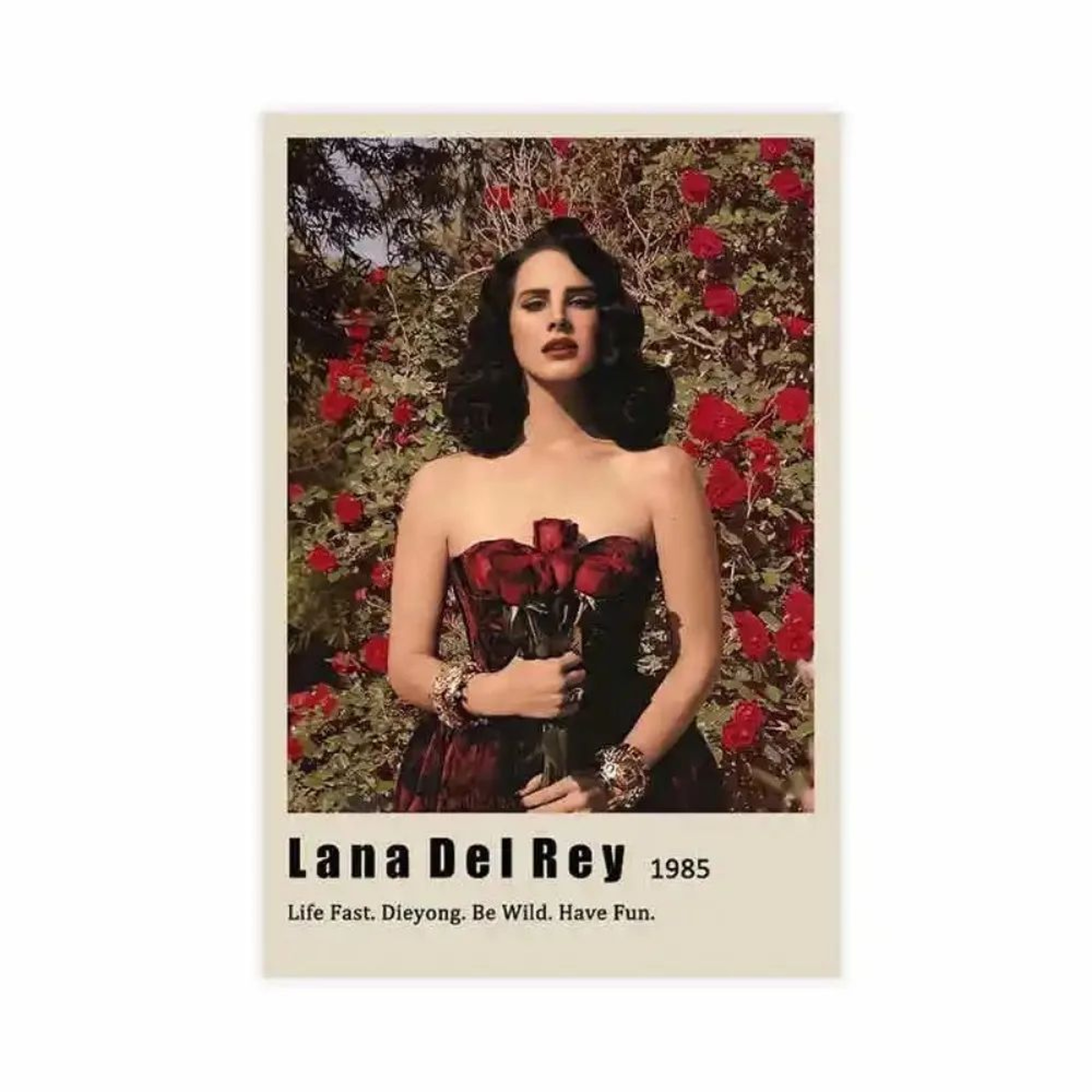 Lana Del Rey Aesthetic Canvas Wall Art  Vintage Music Album Poster For Room Decor 20