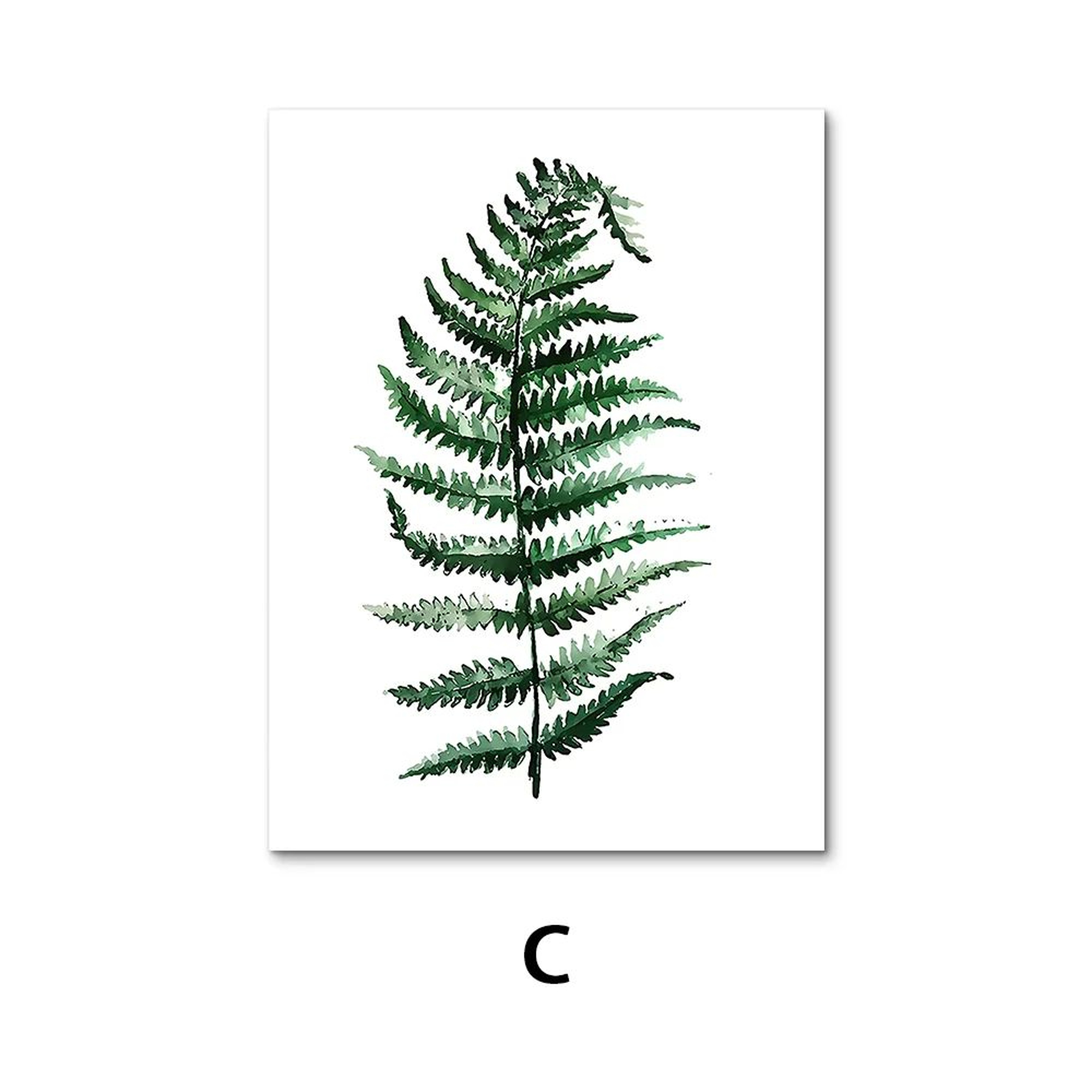 Nordic Botanical Canvas Wall Art  Monstera Fern  Banana Leaf Prints For Living Room  Bedroom Decor 8