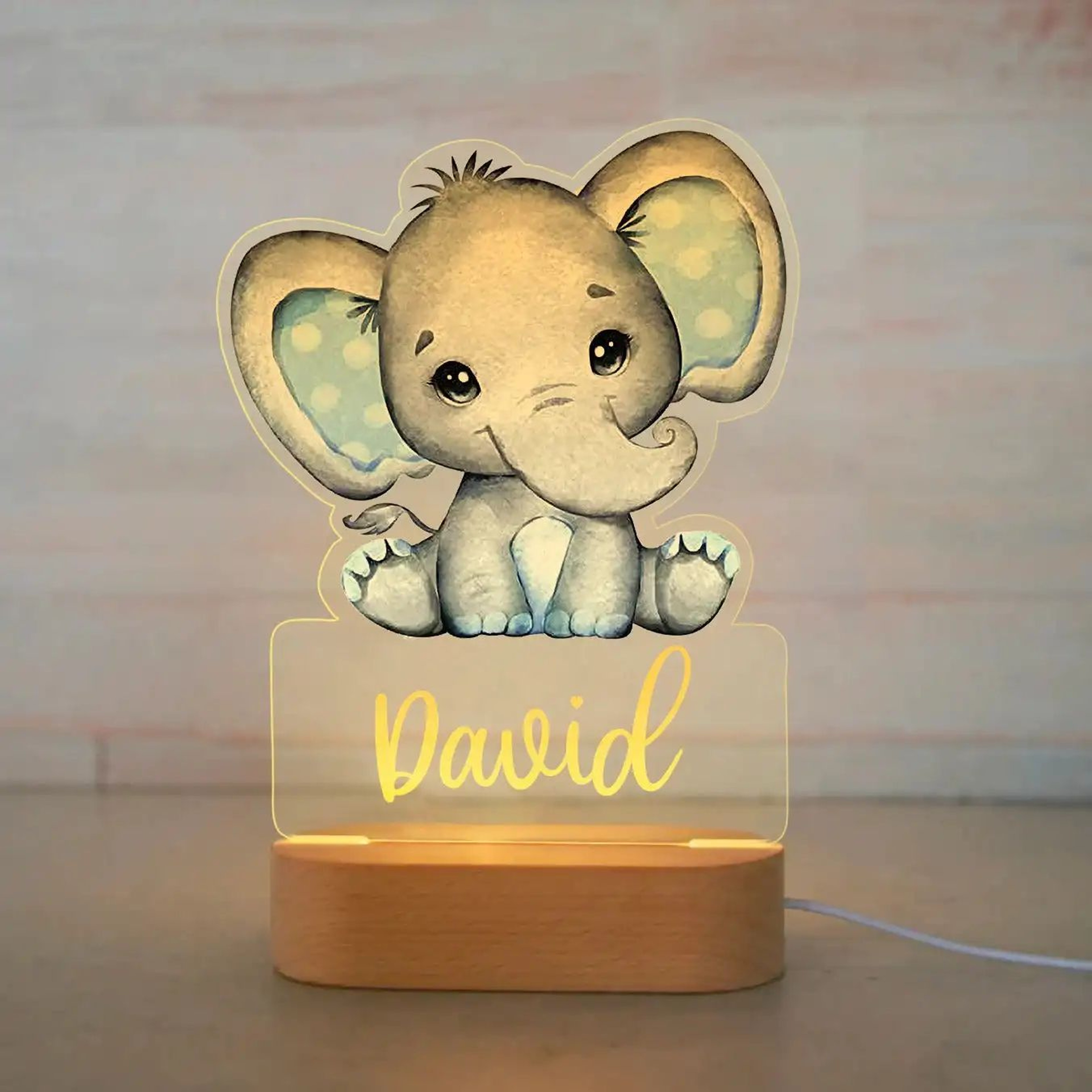 Personalized Animal LED Night Light  Custom Name Acrylic Lamp For Kids Bedroom  Baby Gift 6