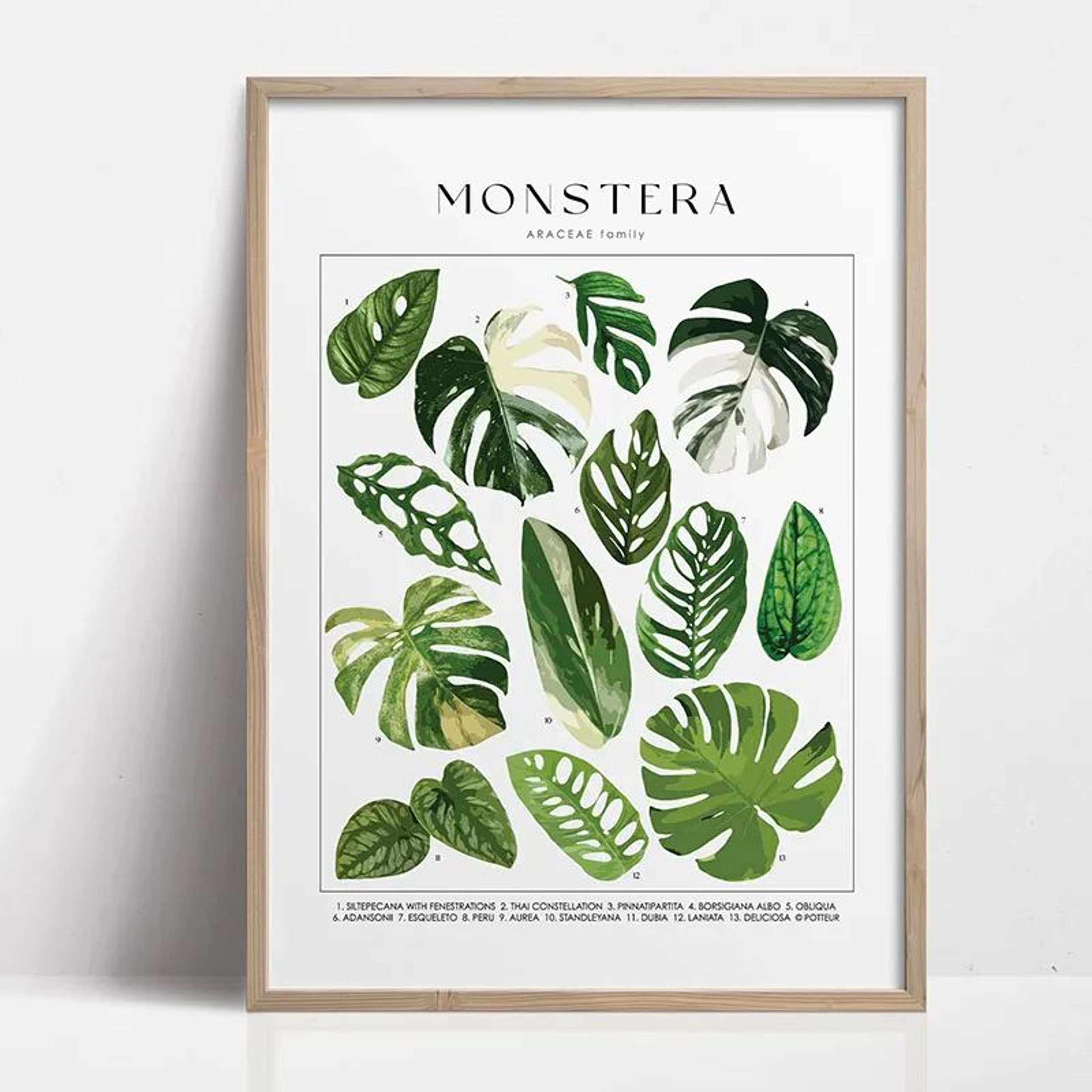 Green Botanical Leaves Canvas Wall Art  Calming Nature Houseplant Print 24