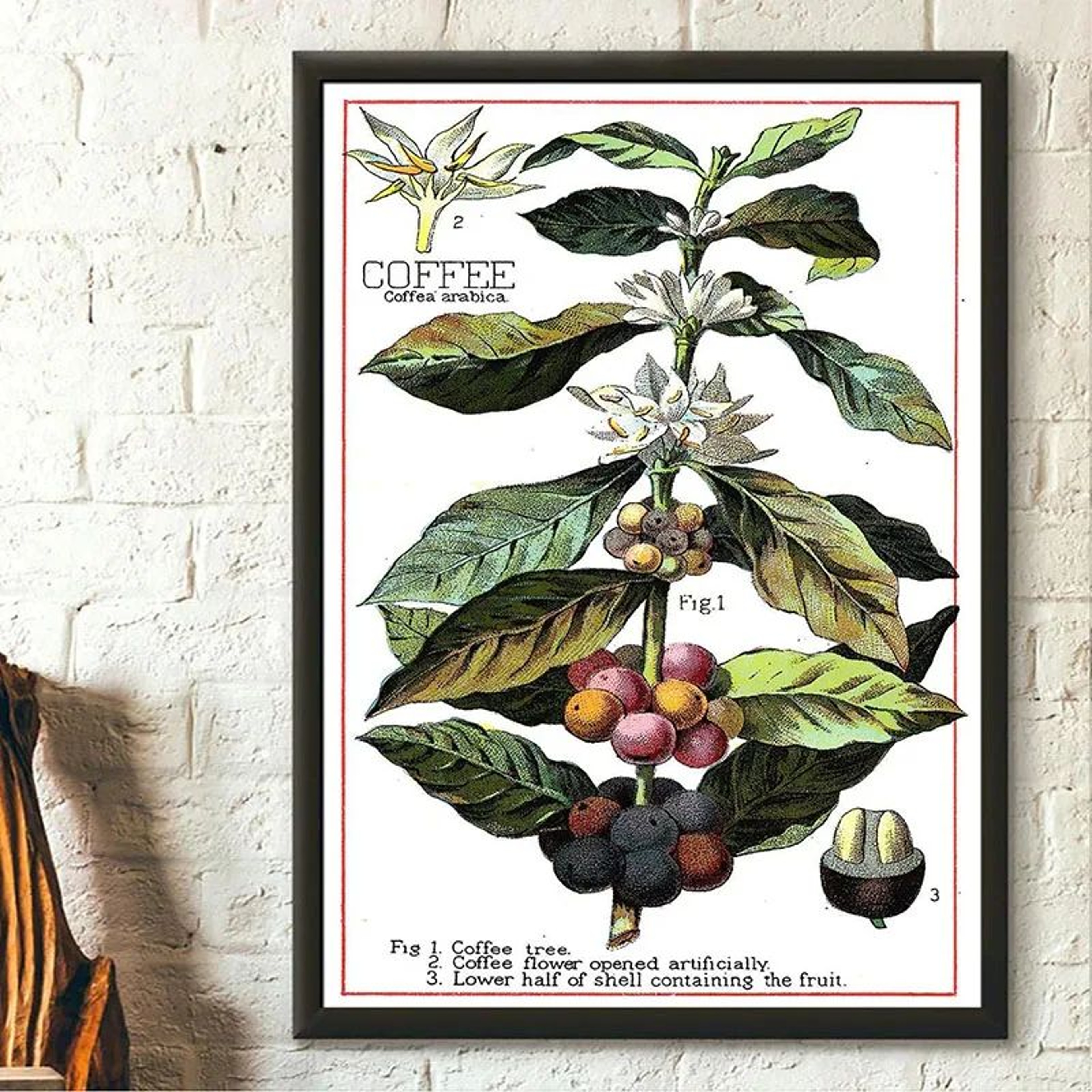 Green Botanical Leaves Canvas Wall Art  Calming Nature Houseplant Print 26