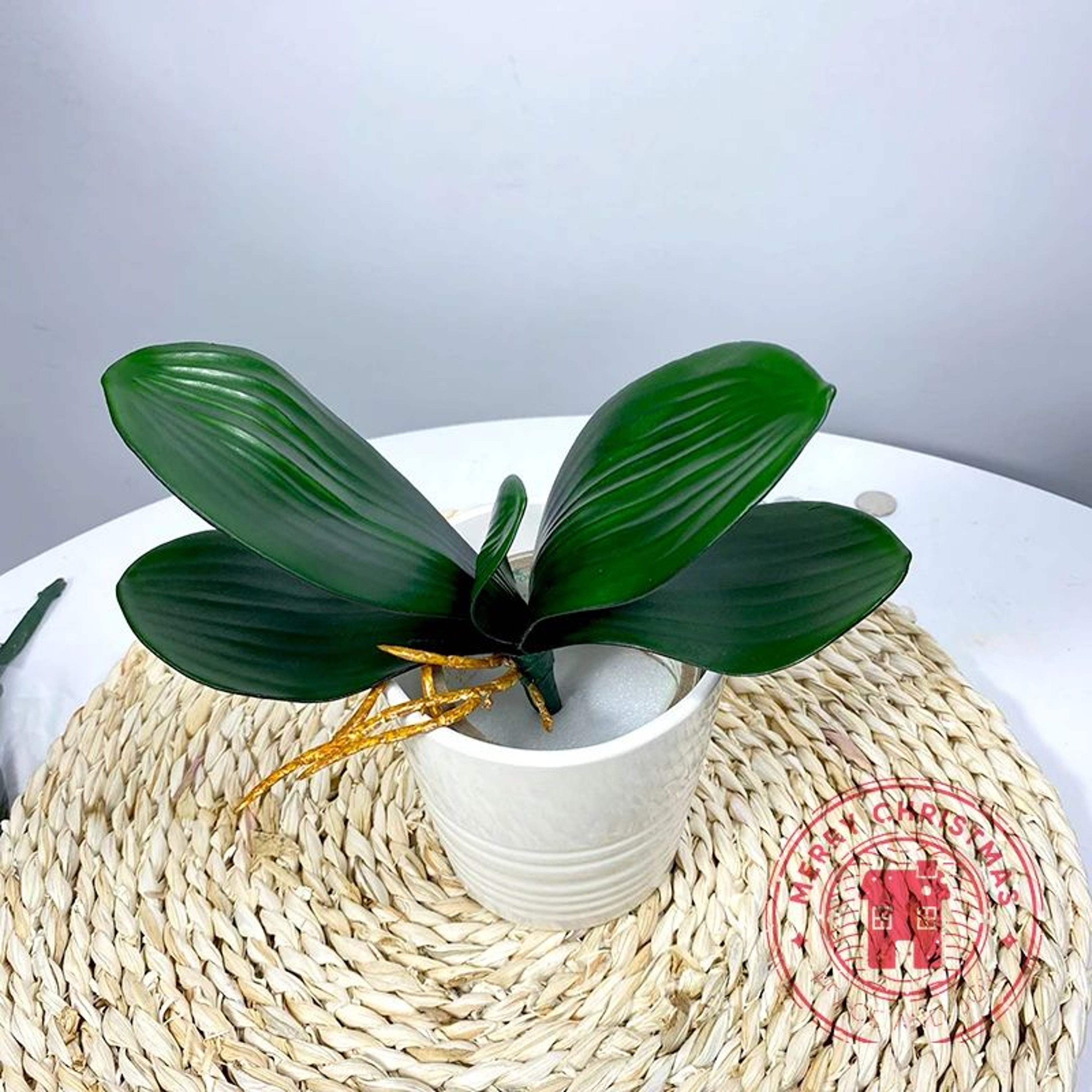 Realistic Phalaenopsis Orchid Leaves  Artificial Orchid Foliage For Elegant Home  Event Decor 2