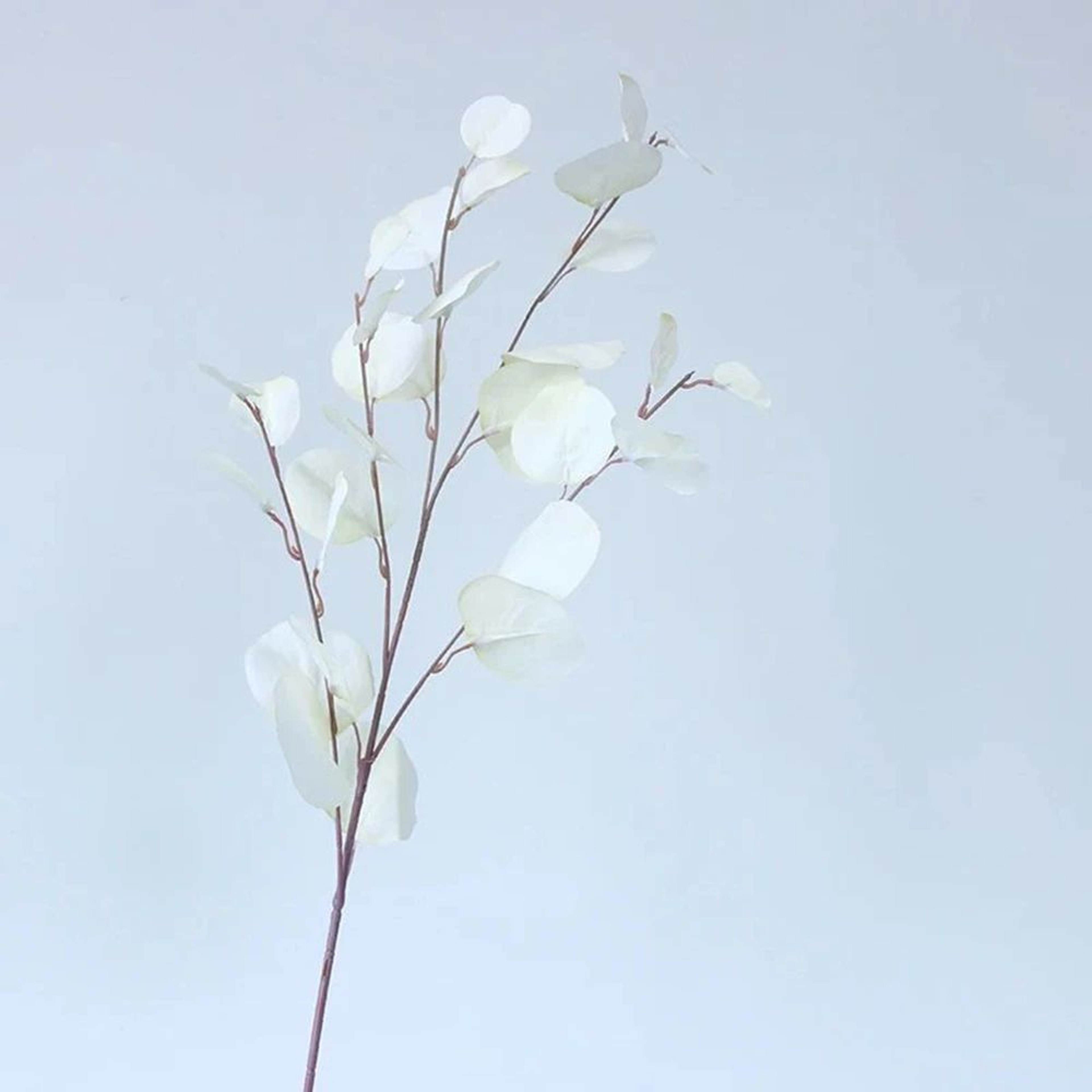 Artificial Eucalyptus Money Leaf Stems  Long Pole Faux Greenery For Home Wedding  Table Decor 9