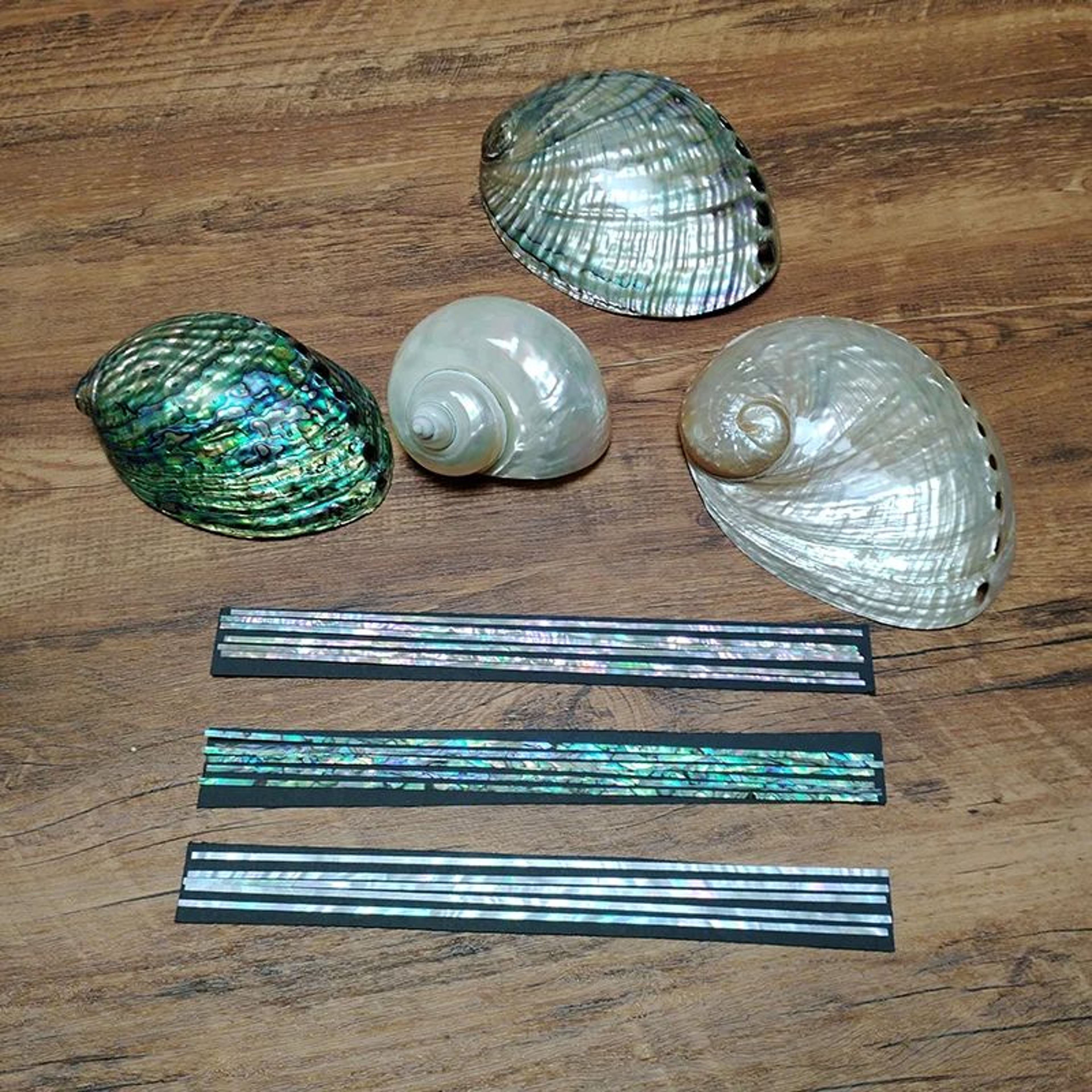 Paua Abalone Inlay Strips  Mother Of Pearl Shell For Guitar Jewelry  Resin DIY Crafts 1