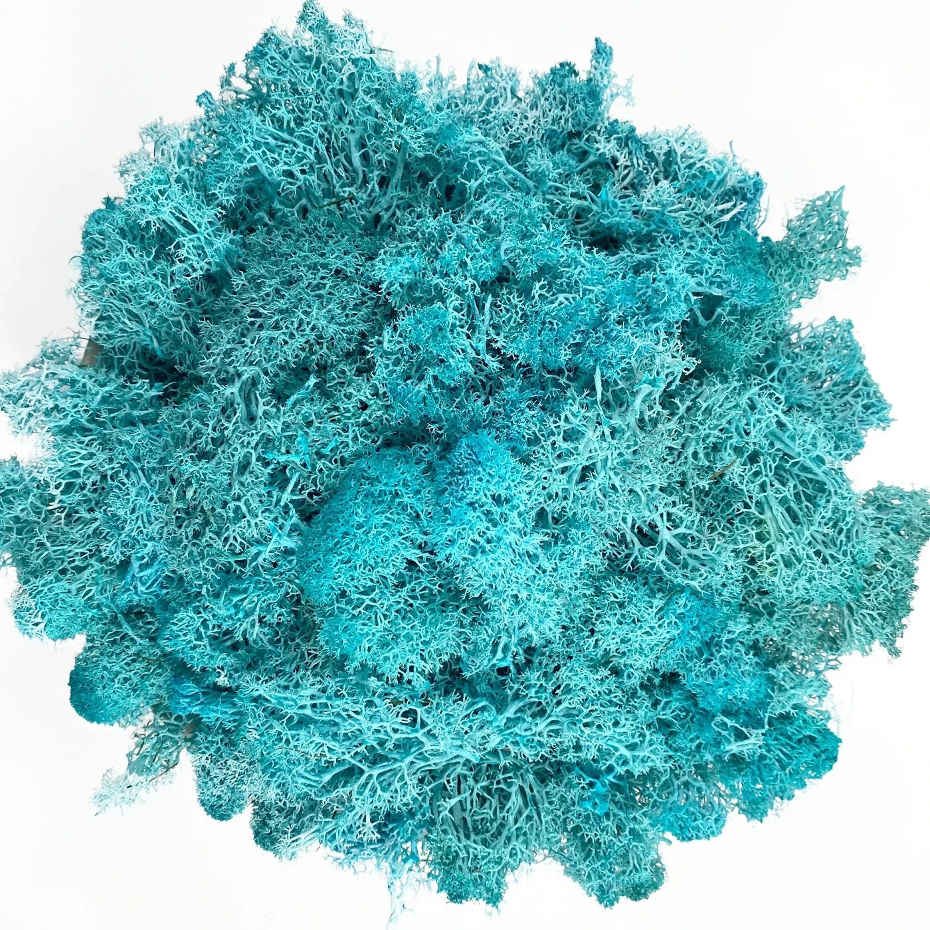 Artificial Reindeer Moss Decor  Faux Green Moss For Crafts Potted Plants  Wall Art 17