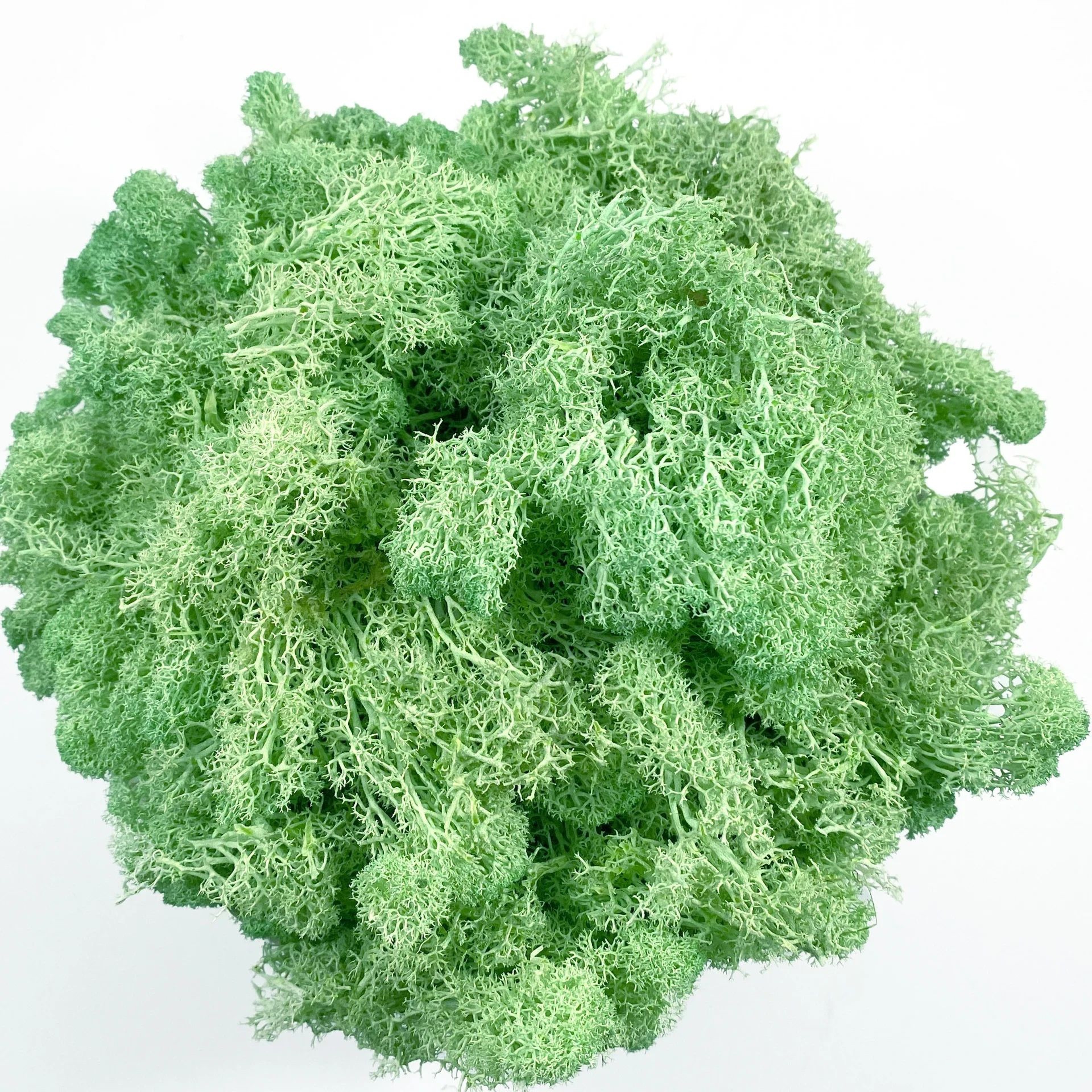 Artificial Reindeer Moss Decor  Faux Green Moss For Crafts Potted Plants  Wall Art 22