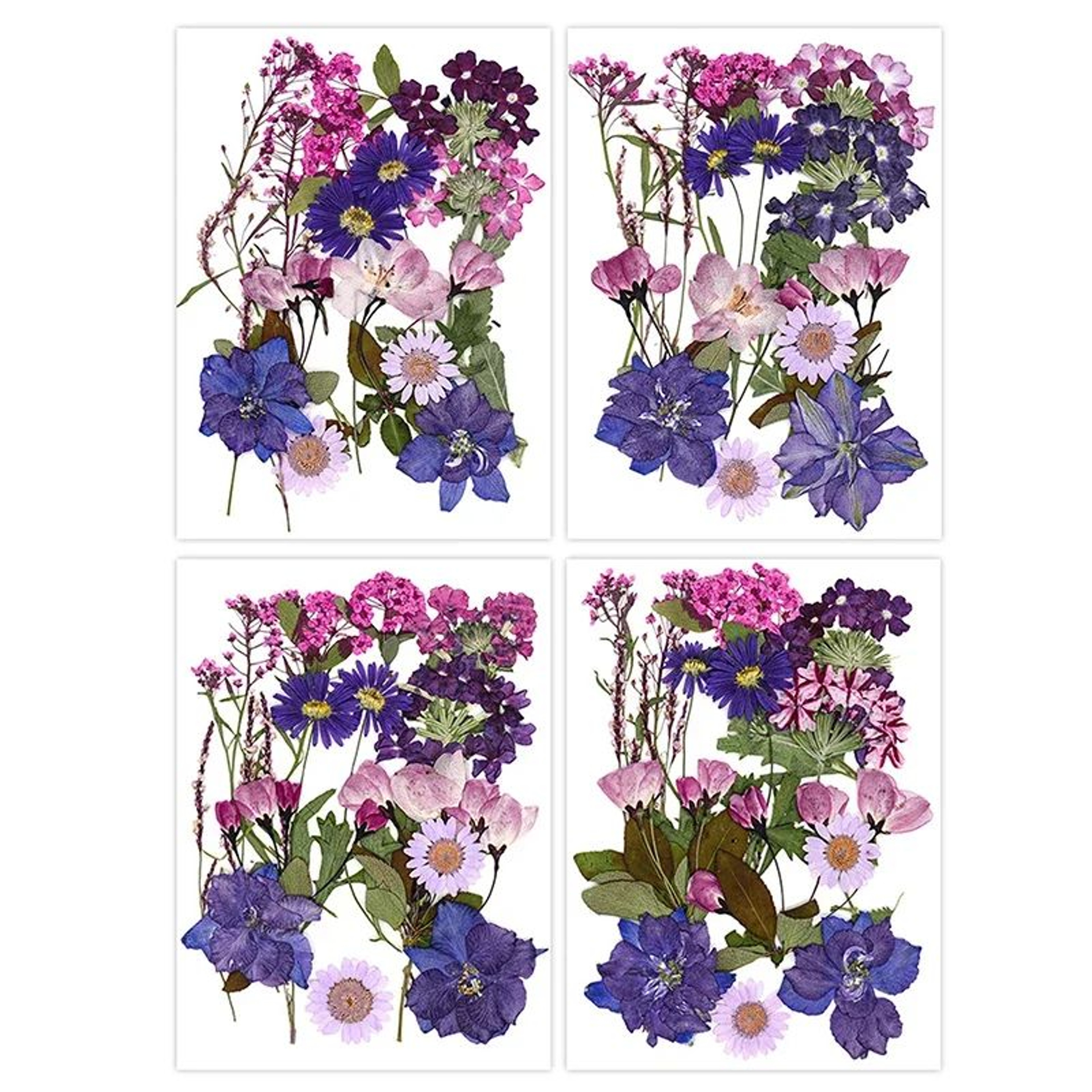 Premium Natural Dried Flower Resin Fillers  Real Pressed Flowers For Nail Art Jewelry  DIY Crafts 5