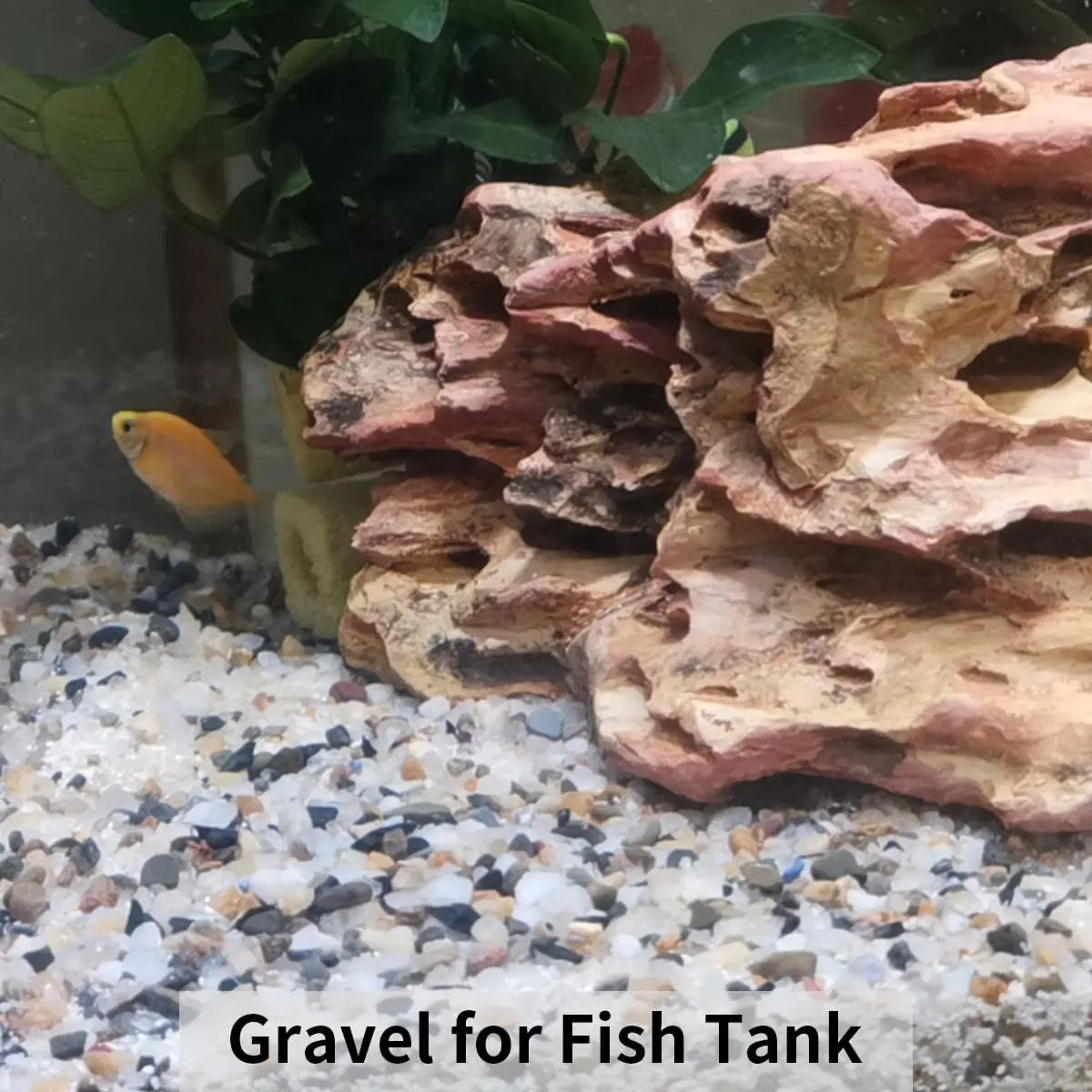 Natural Polished Gravel Pebbles  Decorative River Rocks For Plants Aquariums  Garden Decor 3