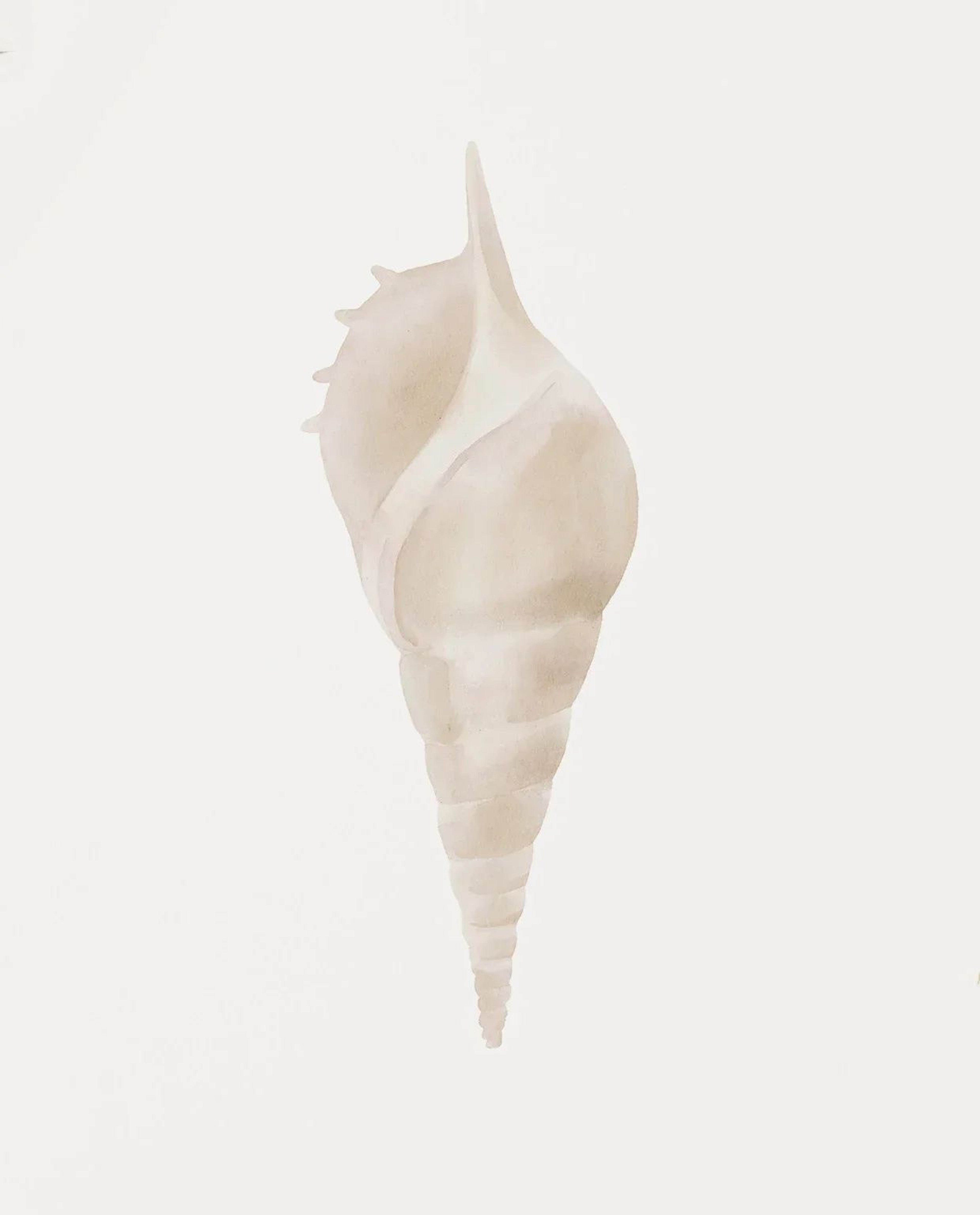 Modern Watercolor Sea Shell  Starfish Canvas Wall Art  Coastal Ocean Print For Living Room Decor 7