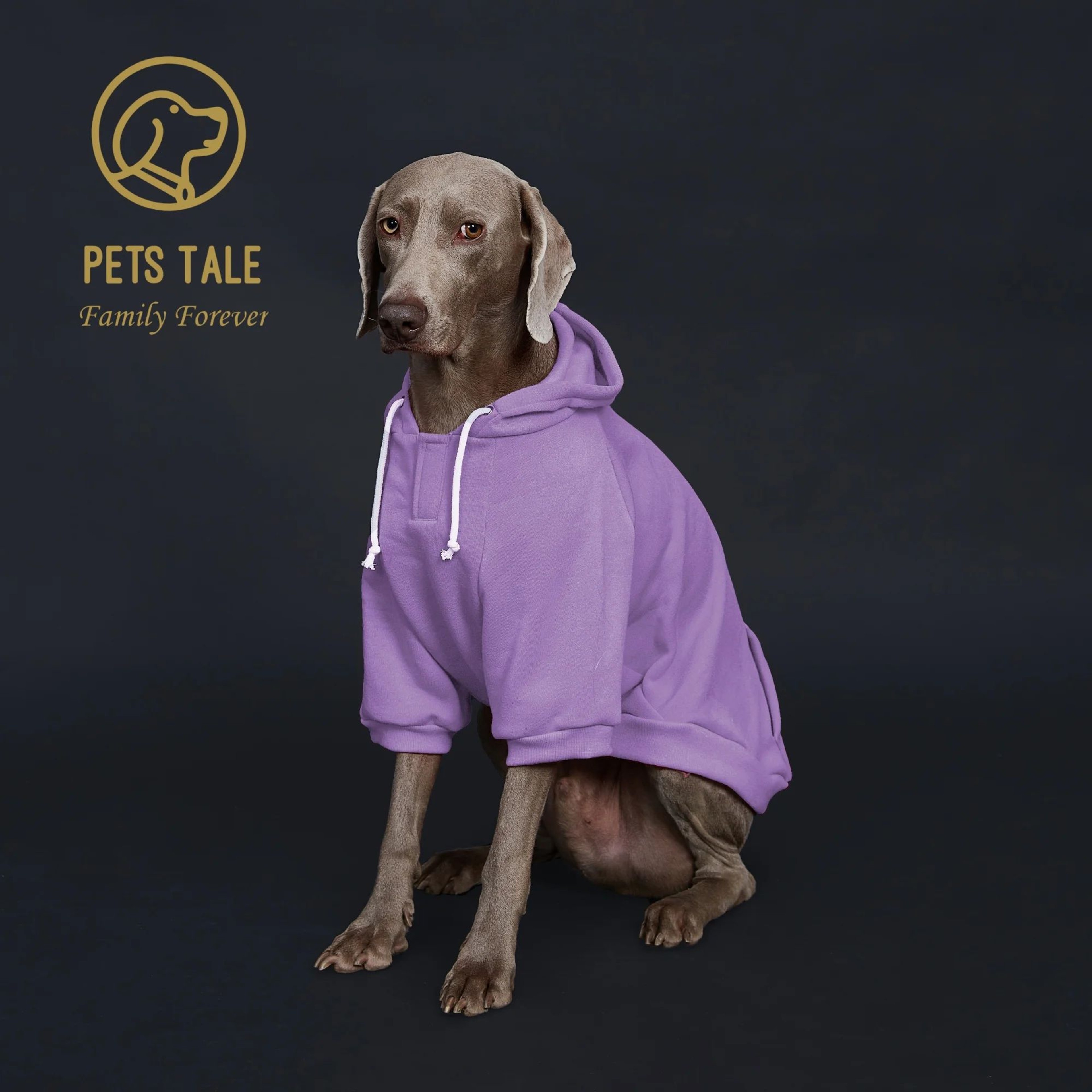 Dog Hoodie With Pocket  Leather Patch  Adjustable Pet Sweatshirt With Hook And Loop Collar 8