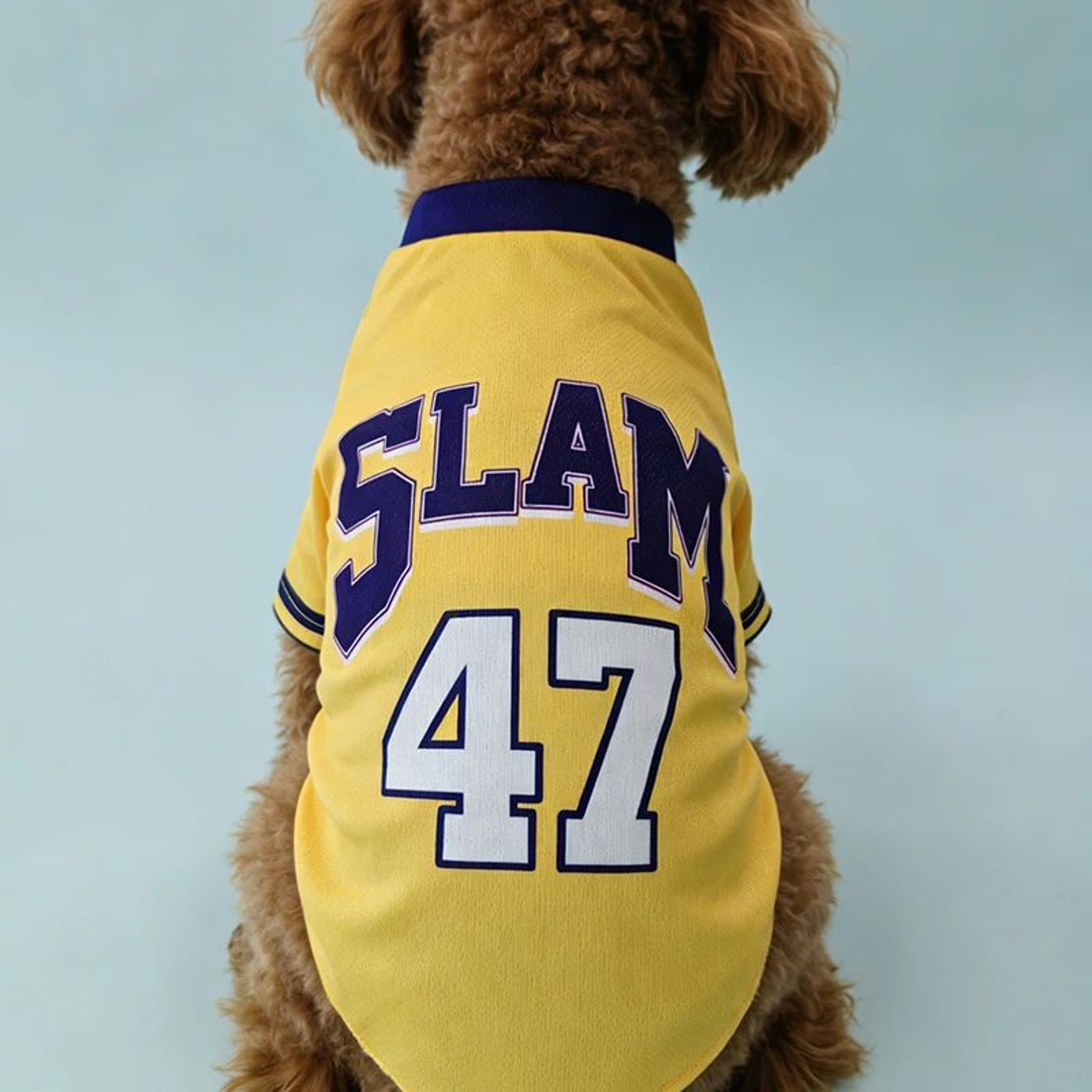 SLAM 47 Breathable Mesh Dog Basketball Jersey  Sporty Summer Pet TShirt For Dogs  Cats 3