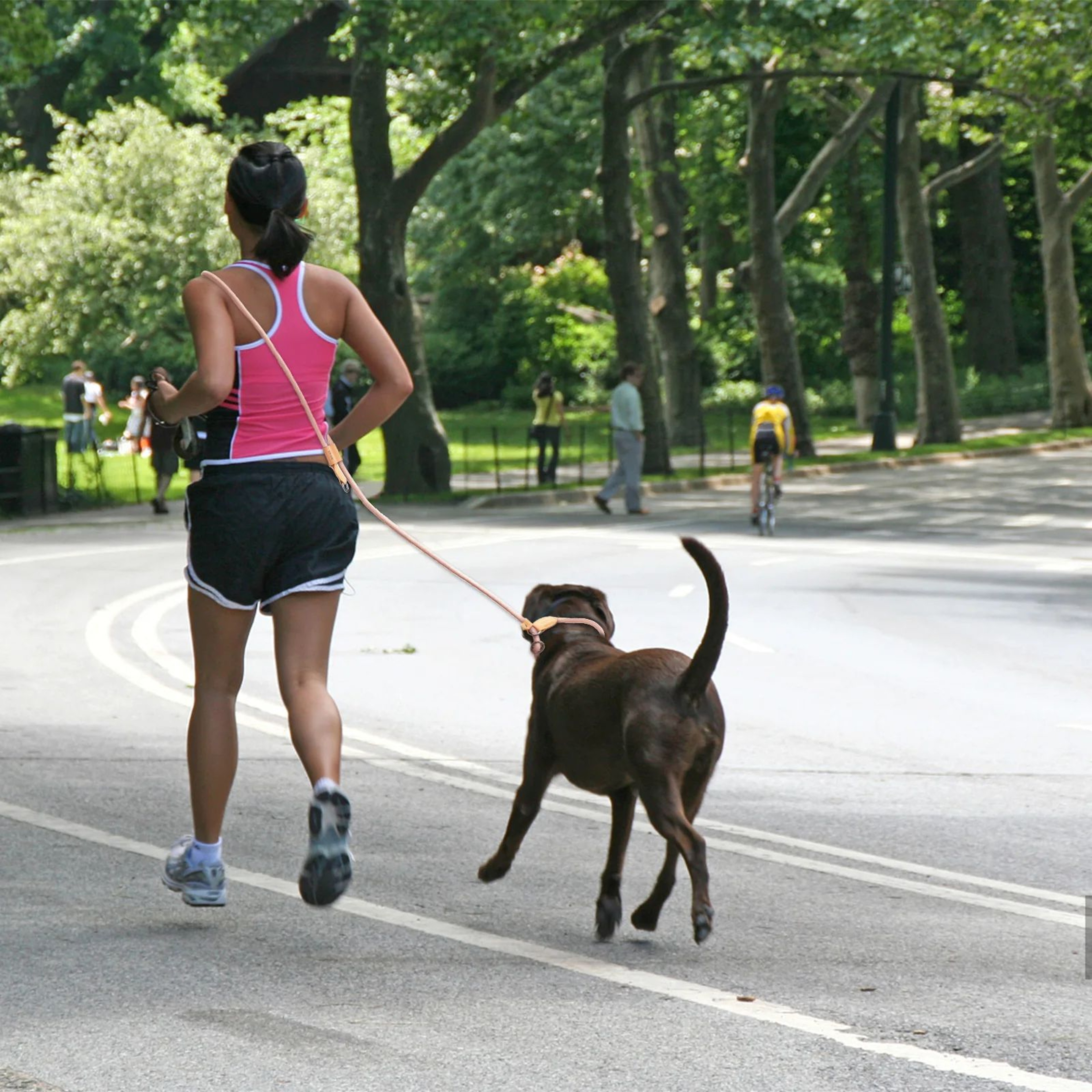 MultiFunctional PShaped HandsFree Dog Leash  Adjustable Running Walking  Training Lead For All Dog  5