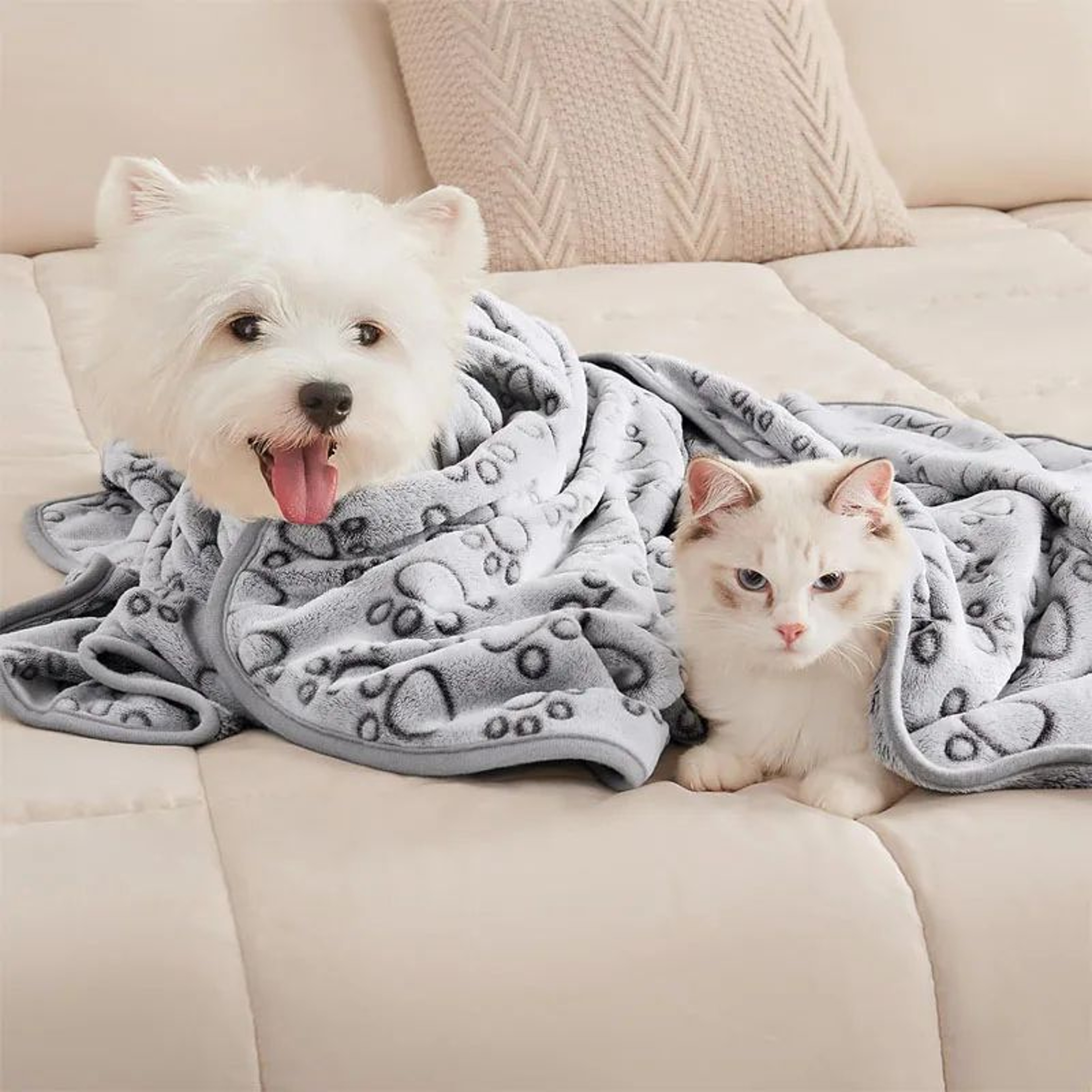 2Pack Soft Fluffy Pet Blanket  Cute Paw Print Cartoon Throw Mat For Dogs  Cats Warm Cozy Sleeping C 4