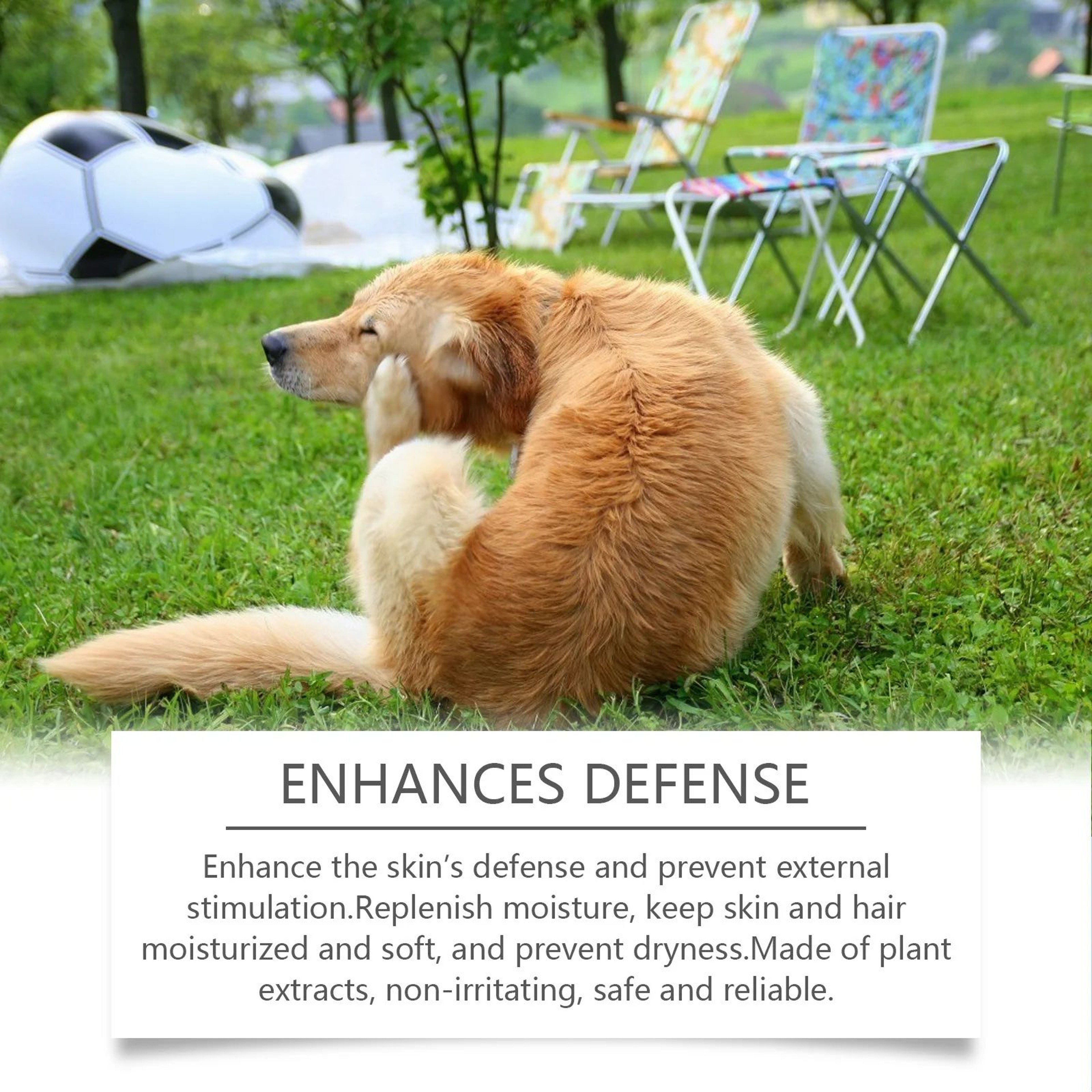 Moisturizing Pet Shampoo  Conditioner  PH Balanced AntiItch Cleaning Foam For Dogs  Cats With Sensi 3