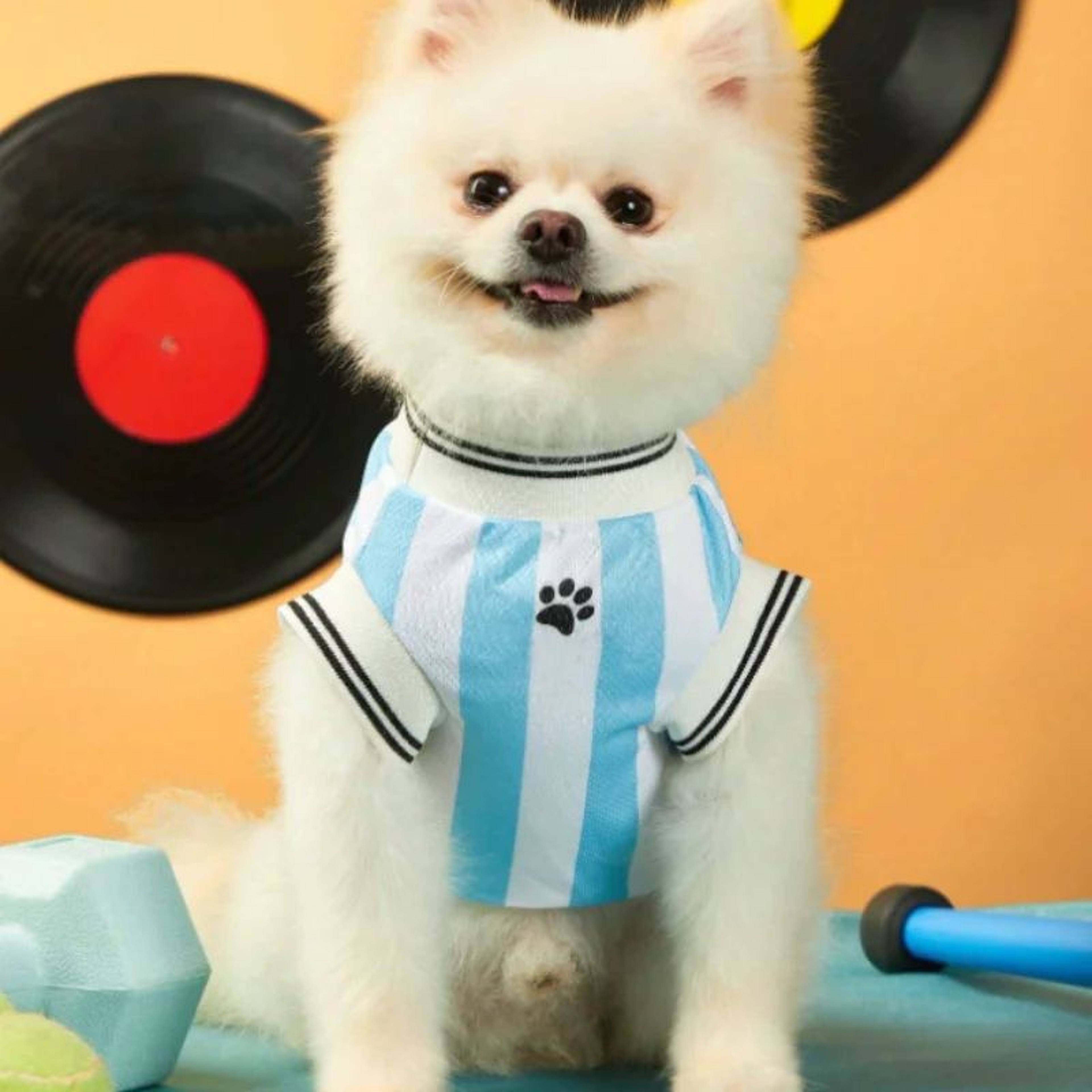 Breathable Mesh Dog Sports Jersey  Lightweight Summer TShirt For Small Medium  Large Dogs And Cats 1