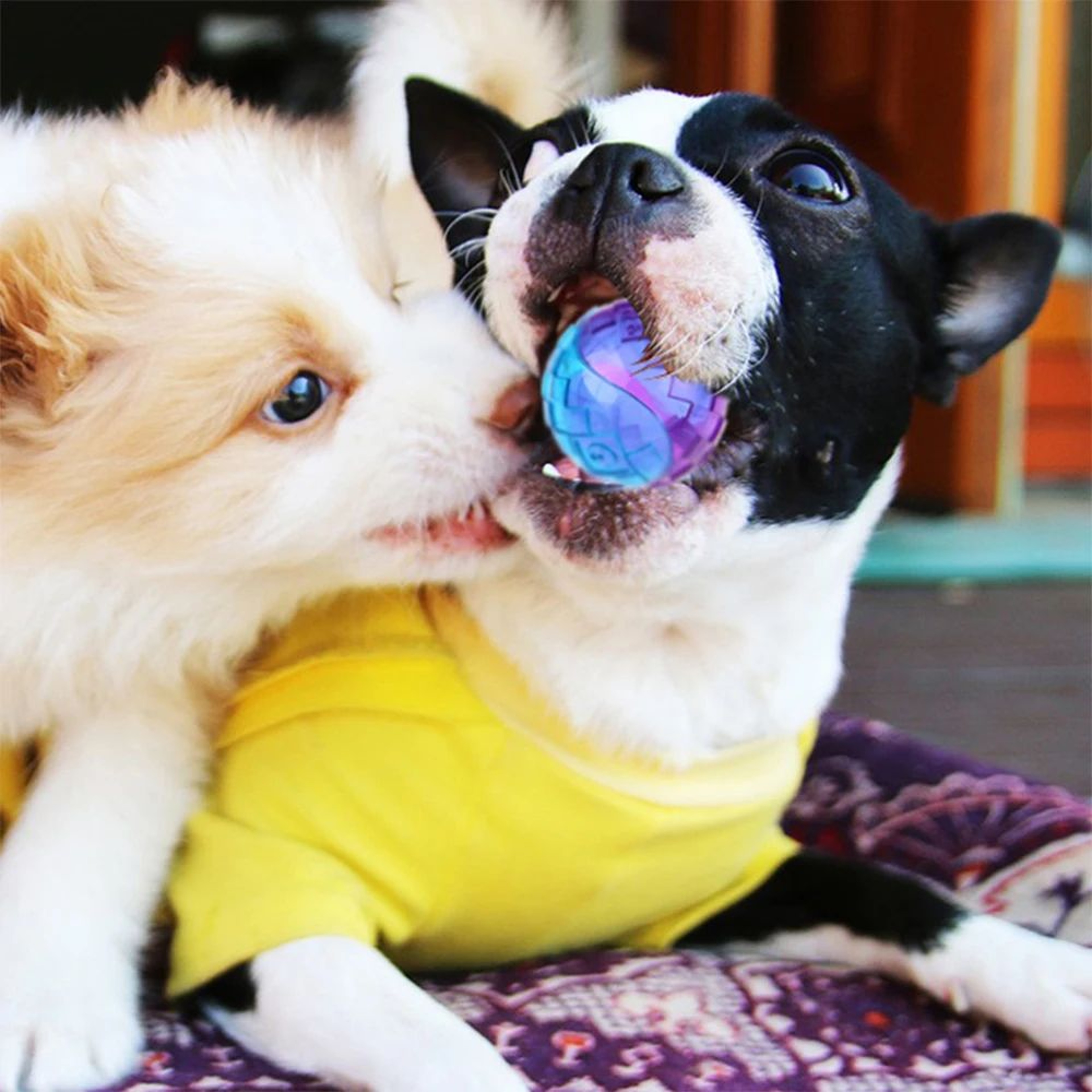 Natural Rubber Squeaky Dog Ball Toy  Interactive Chew  Fetch Ball For Puppies Small  Large Dogs 3