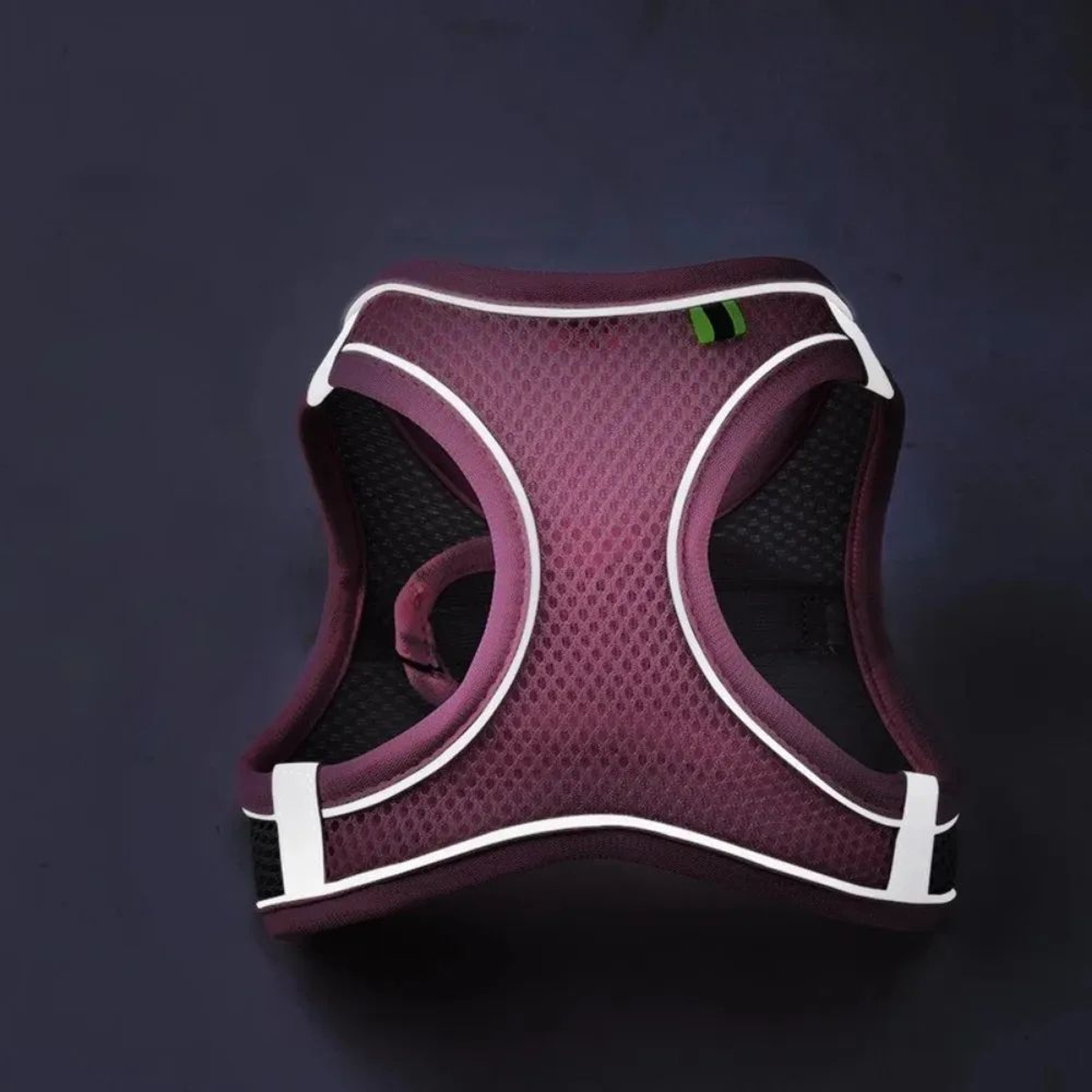 Reflective Breathable Pet Harness  Leash Set  Adjustable NoPull Vest For Small  Medium Dogs And Cat