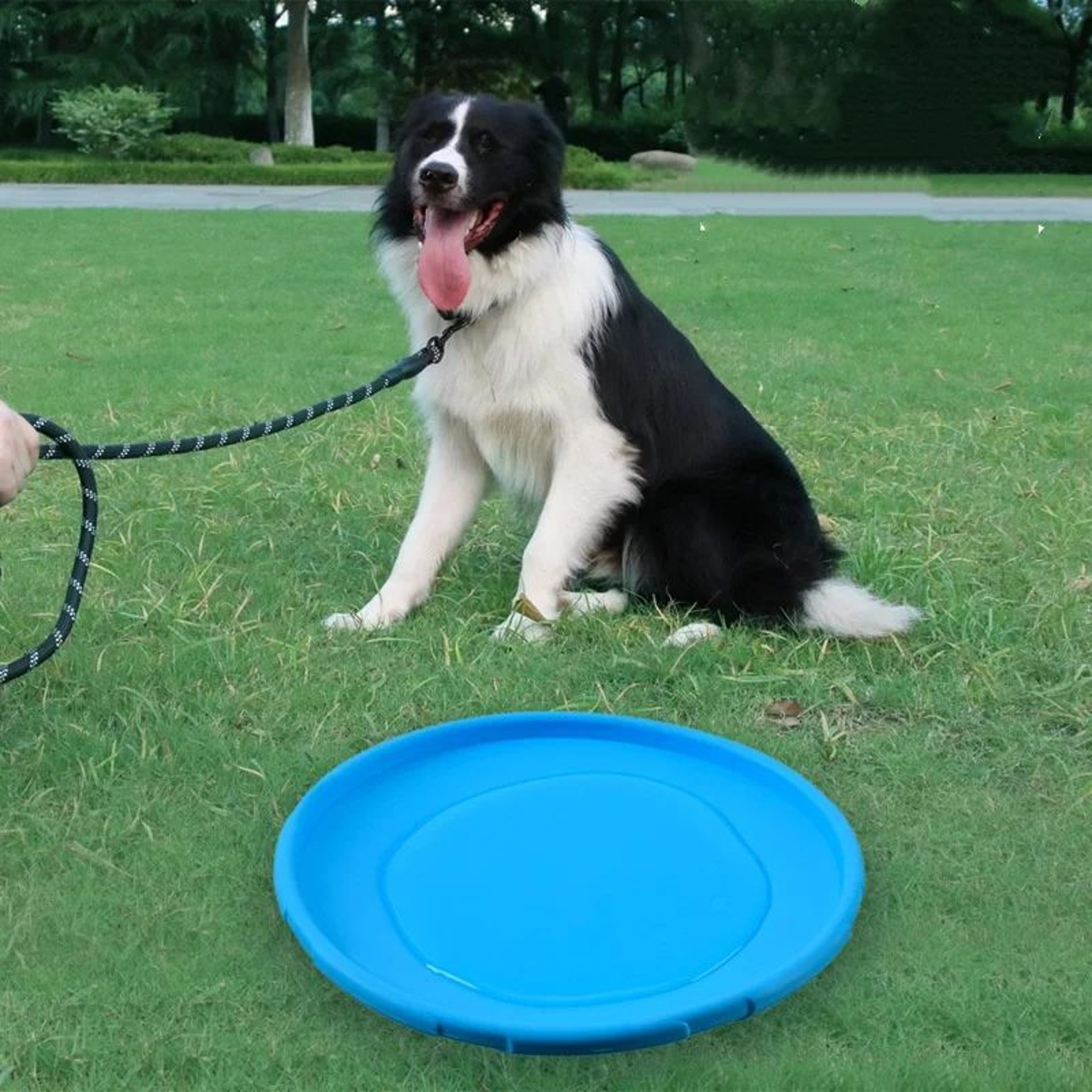 Interactive Silicone Flying Saucer Dog Toy  ChewResistant Flying Disc For Puppy Training Fetch  Out 2