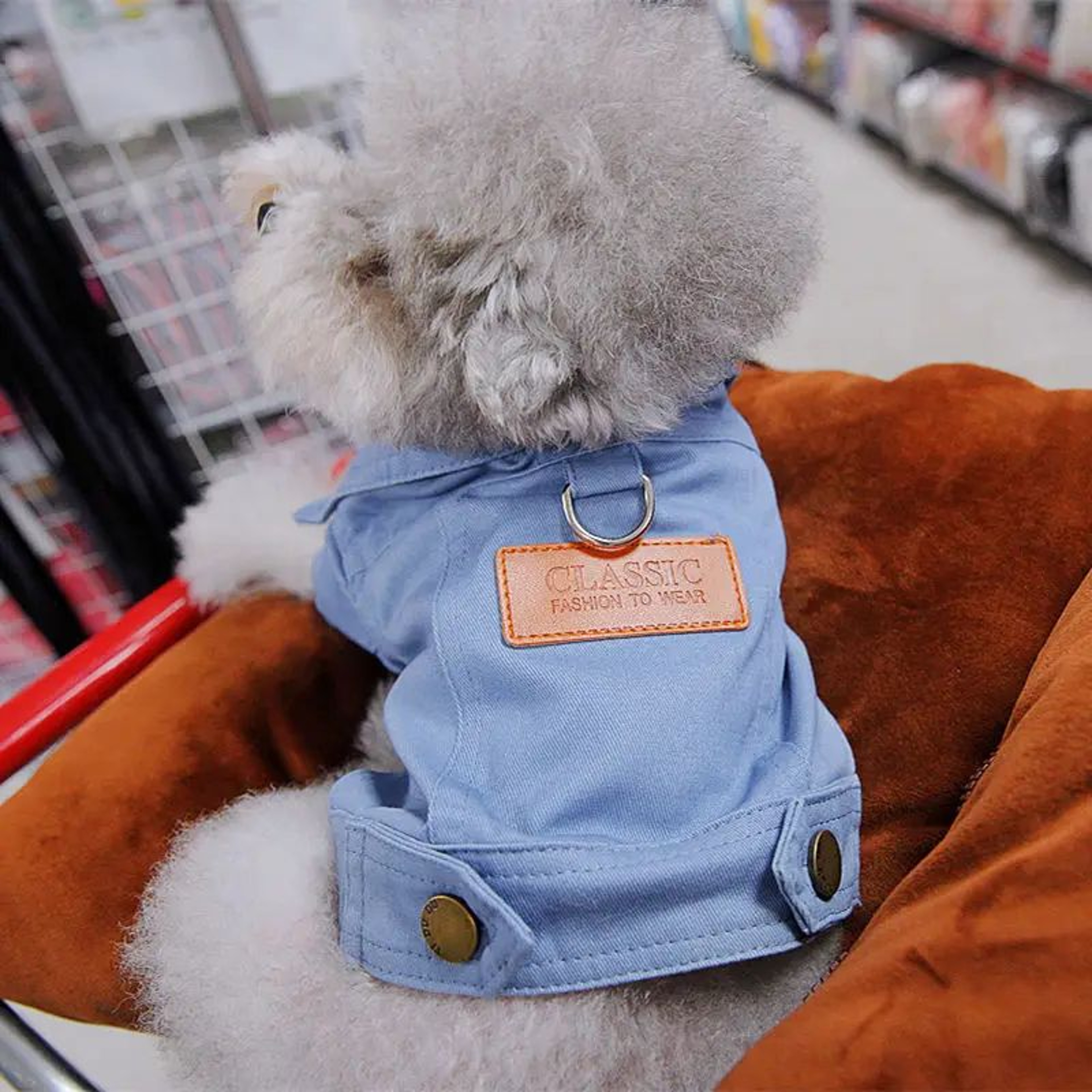 Denim Dog Jacket Harness Vest With DRing  Stylish Spring Puppy Outfit For Small  Medium Dogs 3