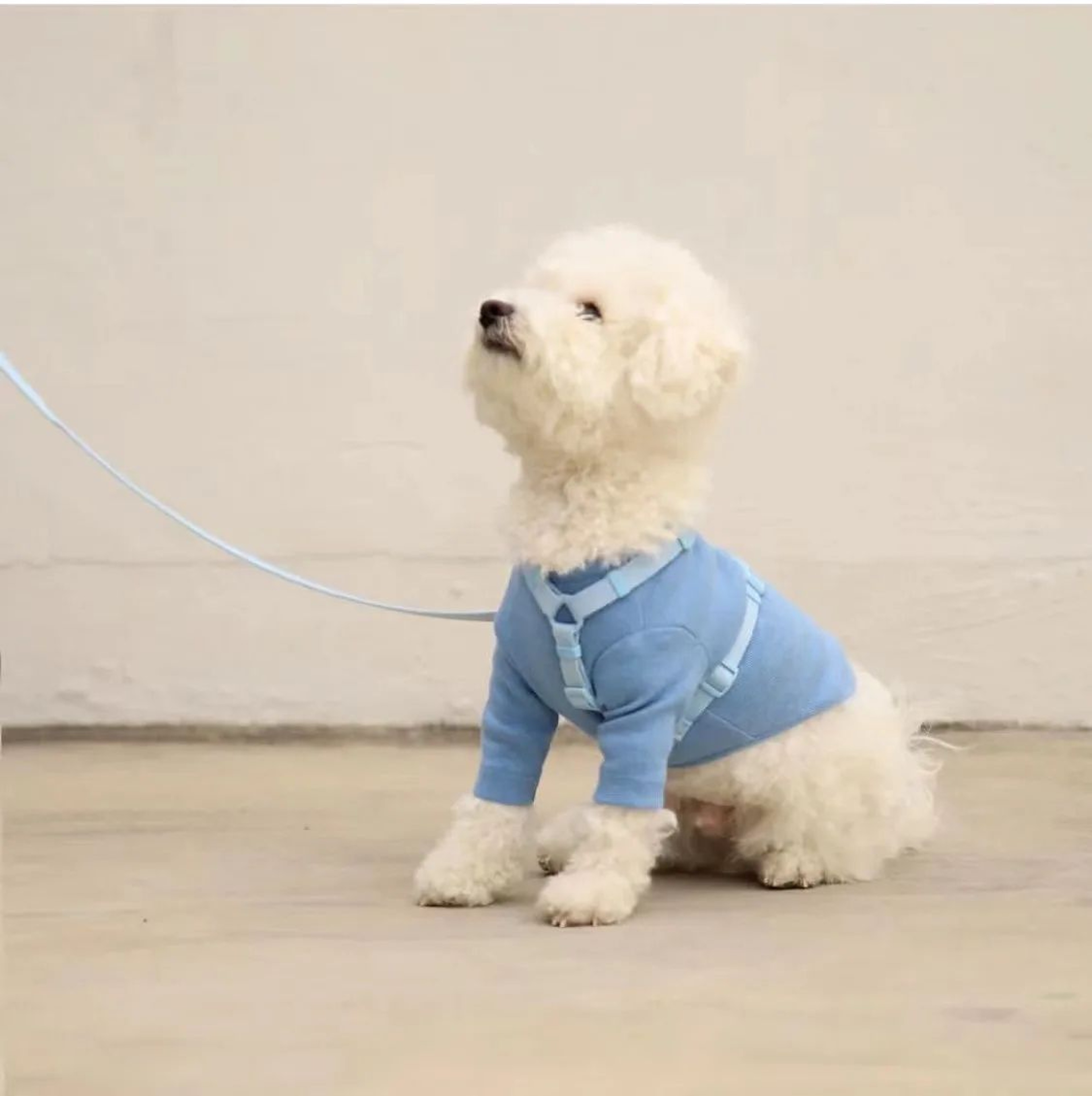 Macaron Adjustable Dog Harness And Leash Set  Soft Nylon Pet Vest For Small  Medium Dogs 3