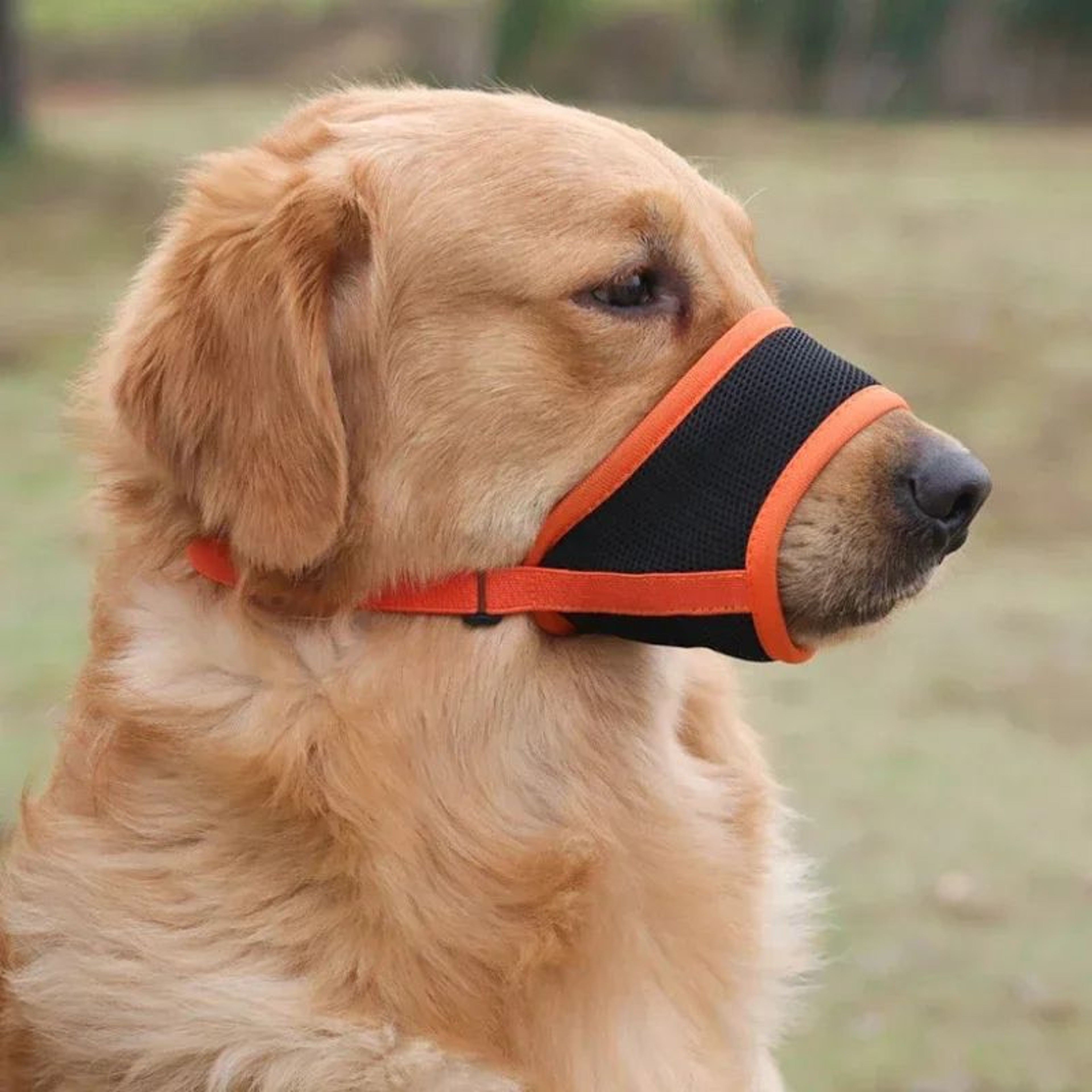 Breathable Dog Muzzle For Biting And Chewing  Adjustable Mesh Dog Mask For Small Medium  Large Dogs 1