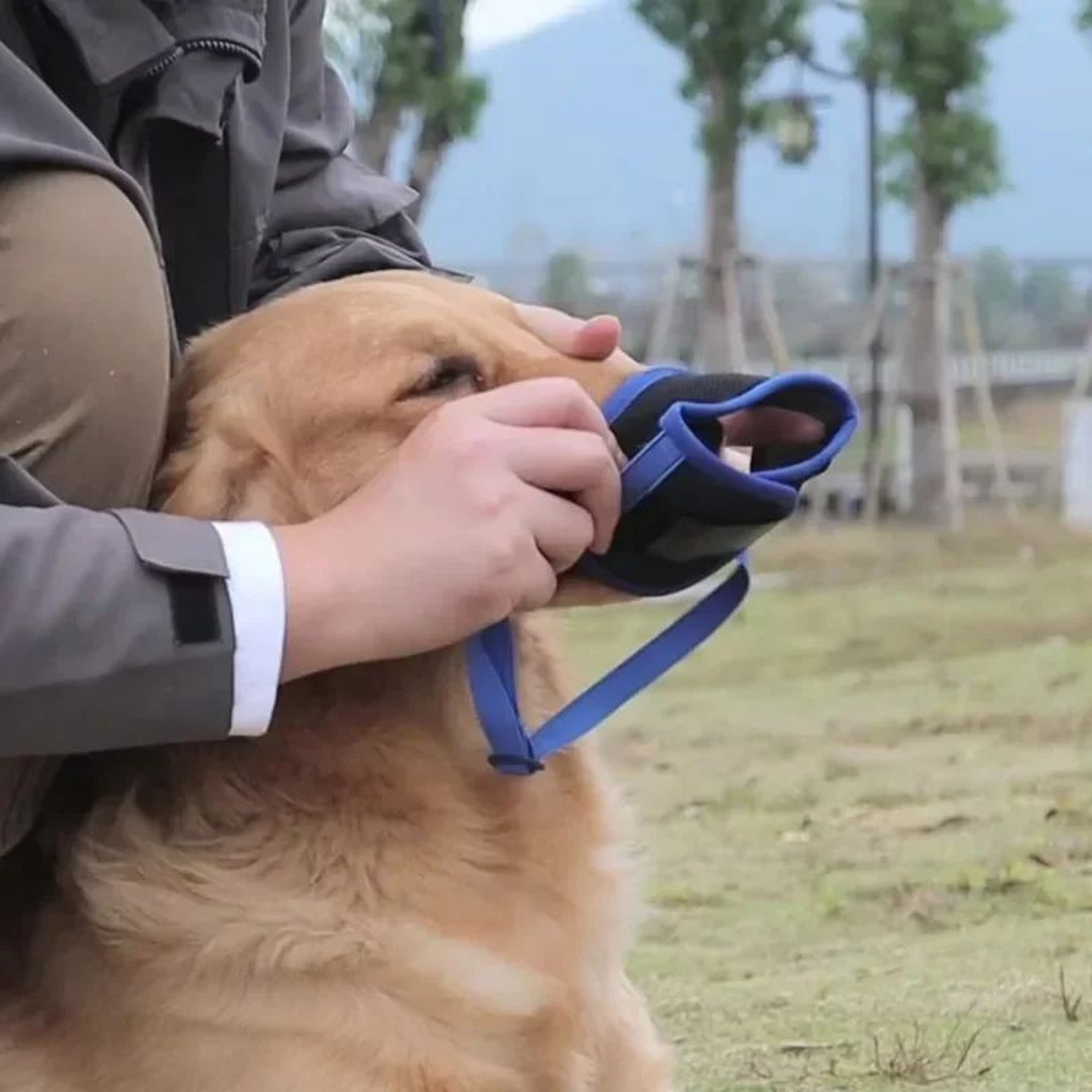Breathable Dog Muzzle For Biting And Chewing  Adjustable Mesh Dog Mask For Small Medium  Large Dogs 2