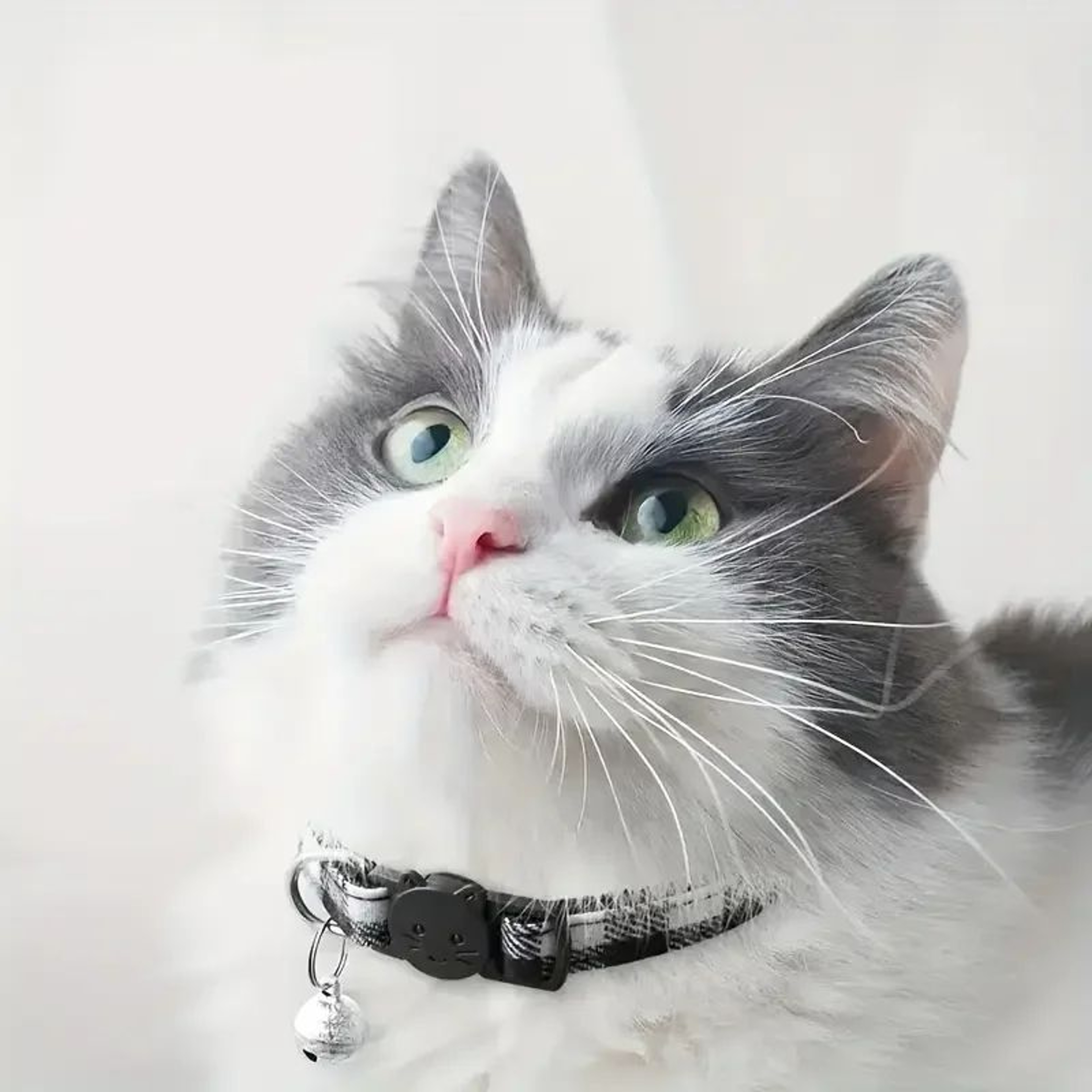 Custom Engraved Plaid Pet Collar  Adjustable Breakaway Cat  Puppy Collar With Personalized ID Tag A 4