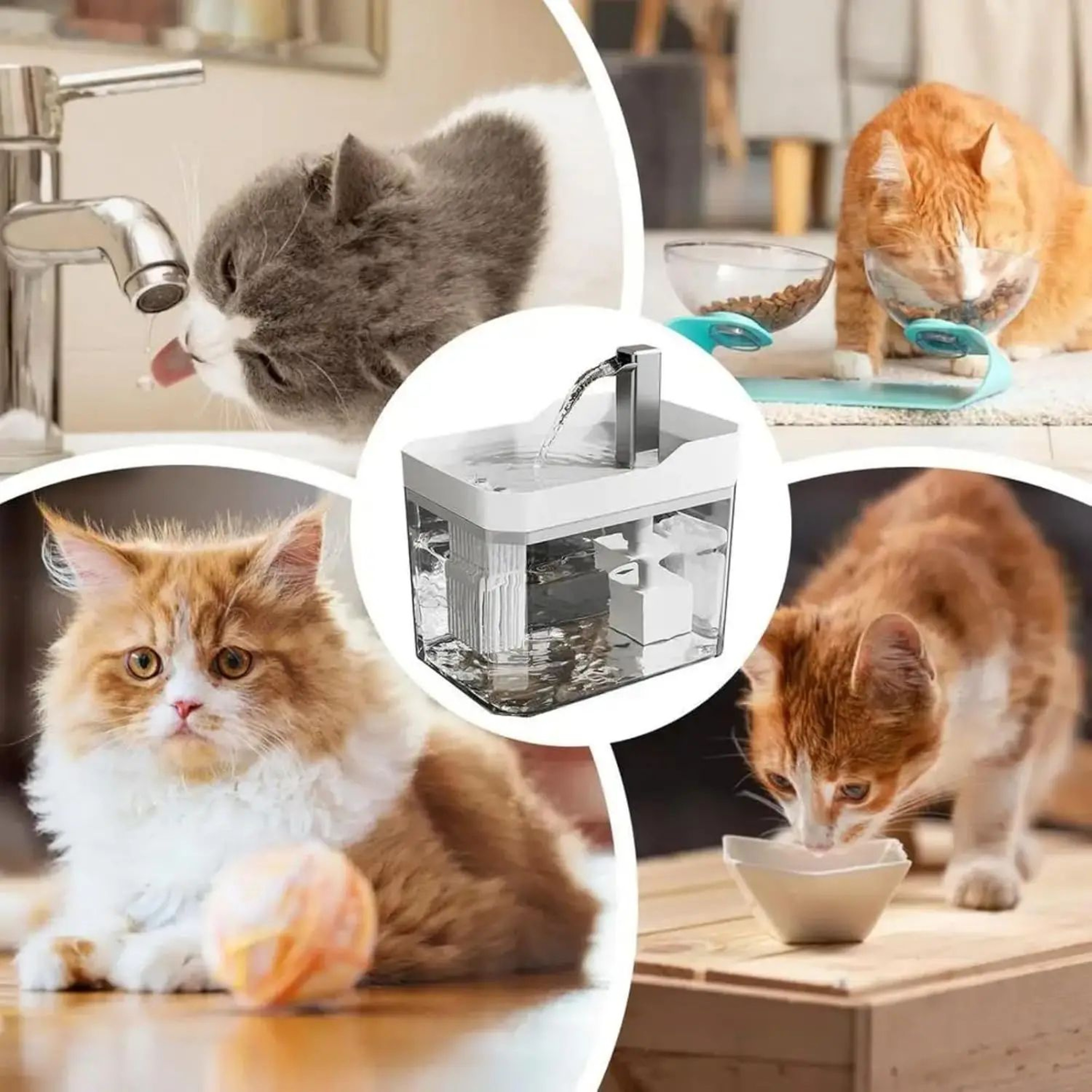 51oz USB Automatic Cat Water Fountain  Quiet Circulating Pet Water Dispenser With Filtration System 2