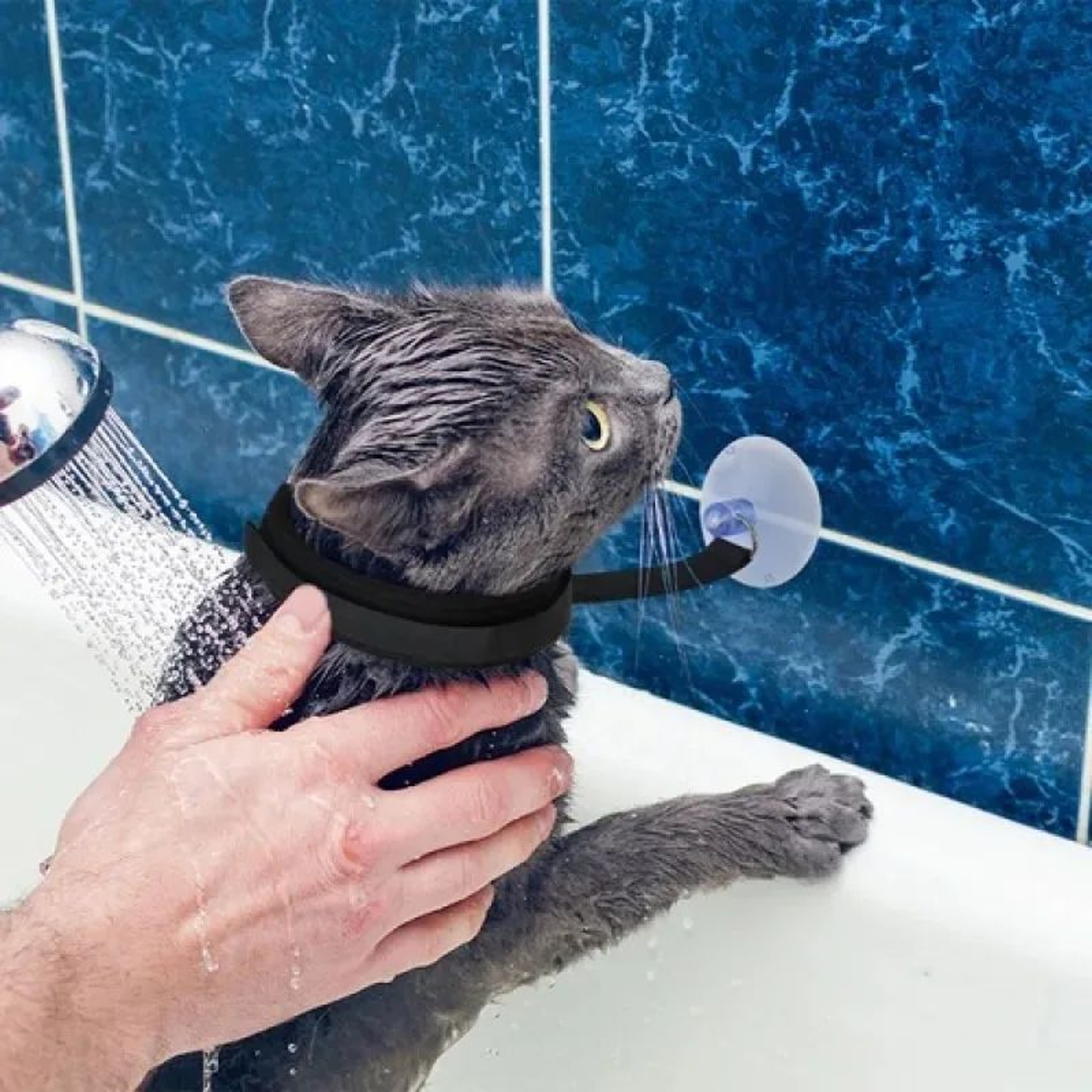 Pet Shower Restraint Collar  Adjustable Cat  Dog Bathing Support For Grooming And Cleaning 3