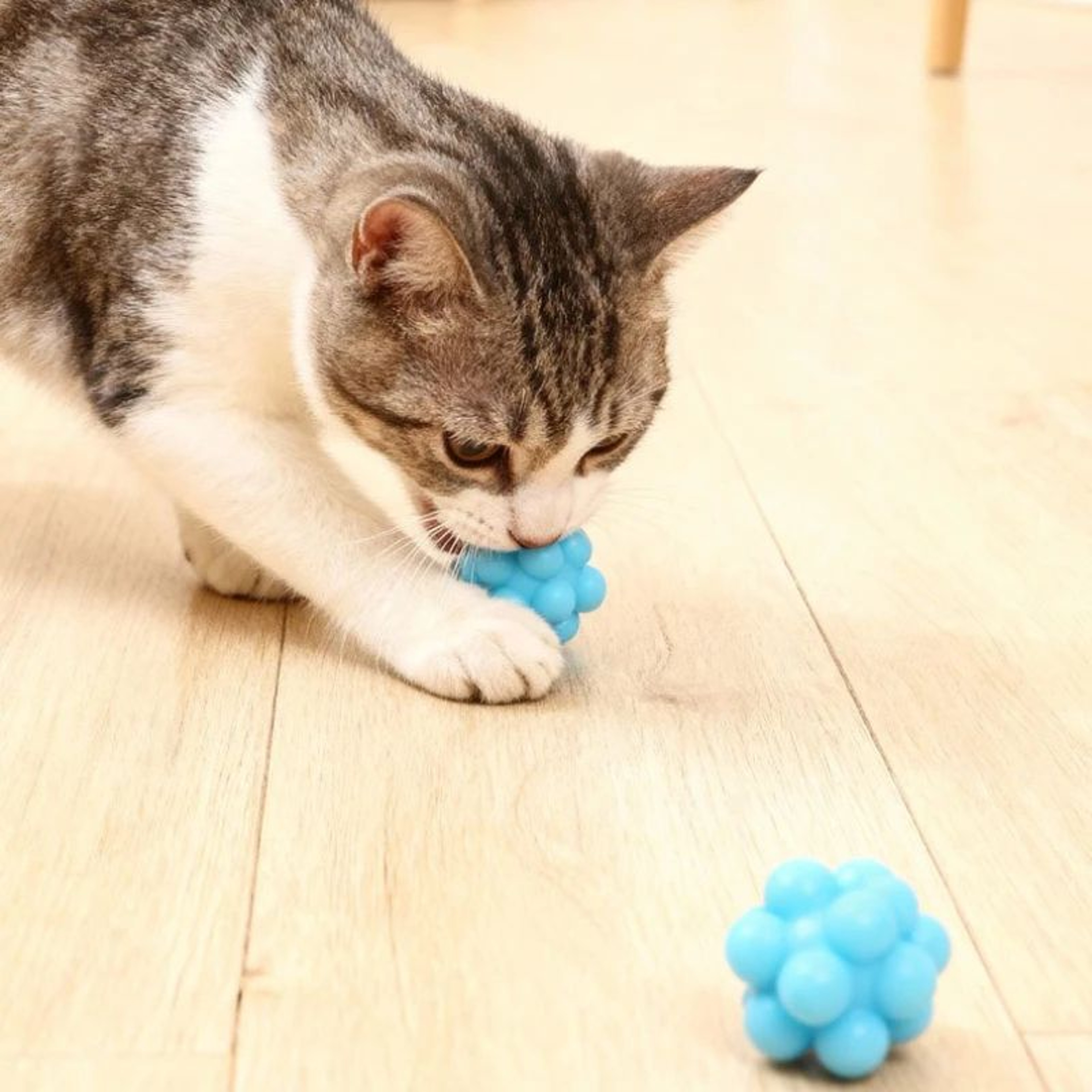 Interactive Silicone Cat Chew Ball  High Elasticity Bouncy BiteResistant Teeth Cleaning Toy 7