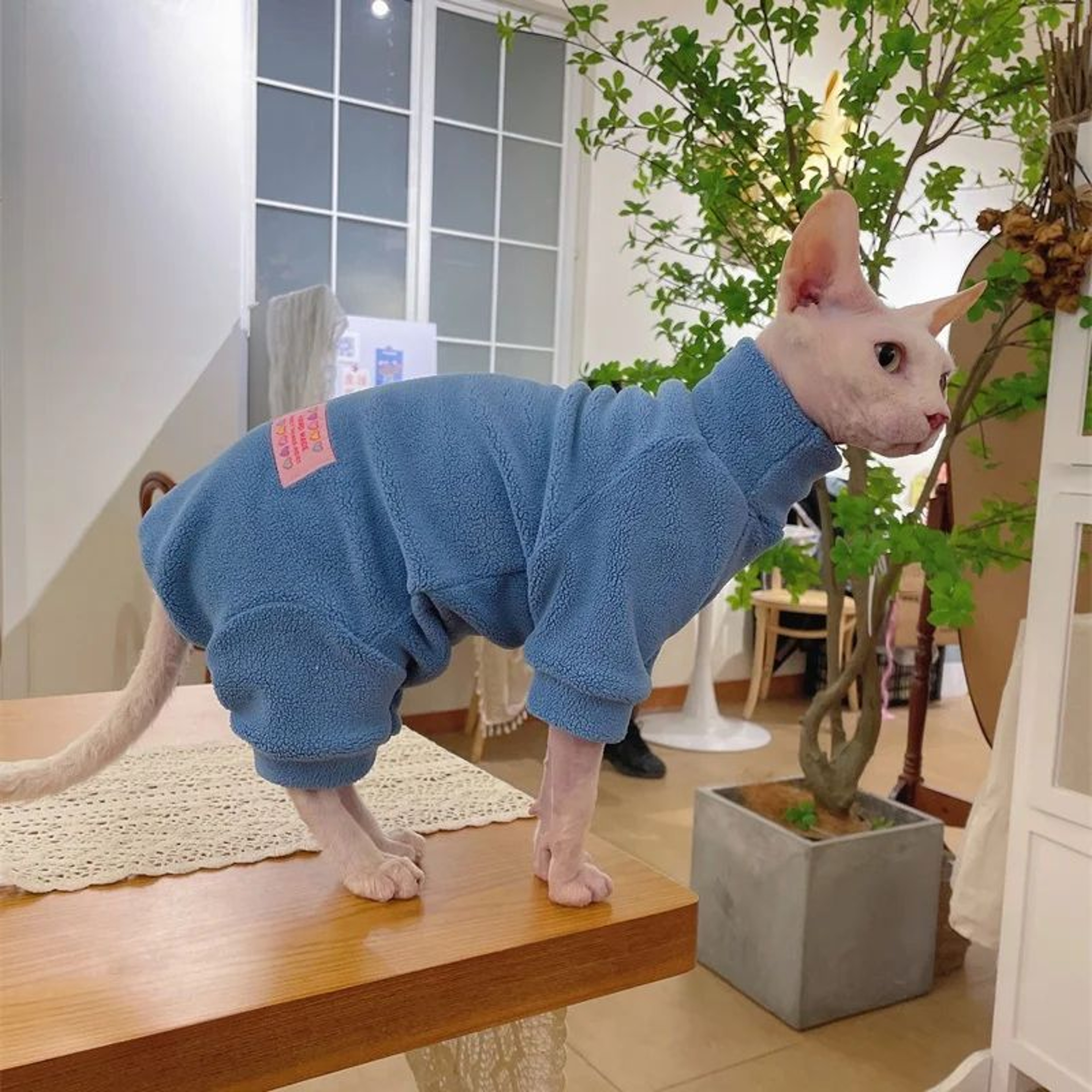 Warm Fleece 4Legged Sphynx Cat Jumpsuit  Soft Thermal Pajama Sweater For Sphynx Devon Rex  Hairless 3