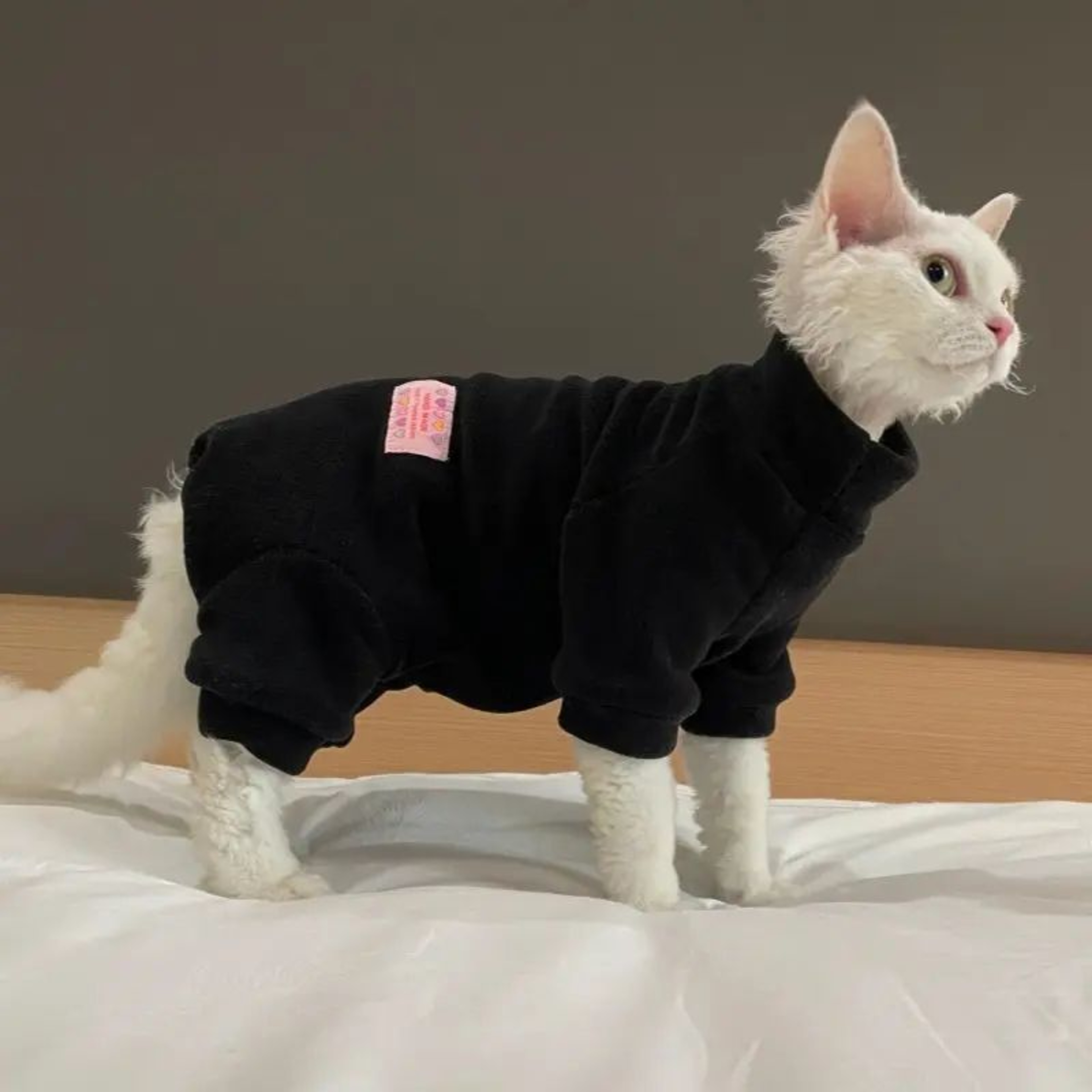 Warm Fleece 4Legged Sphynx Cat Jumpsuit  Soft Thermal Pajama Sweater For Sphynx Devon Rex  Hairless 6