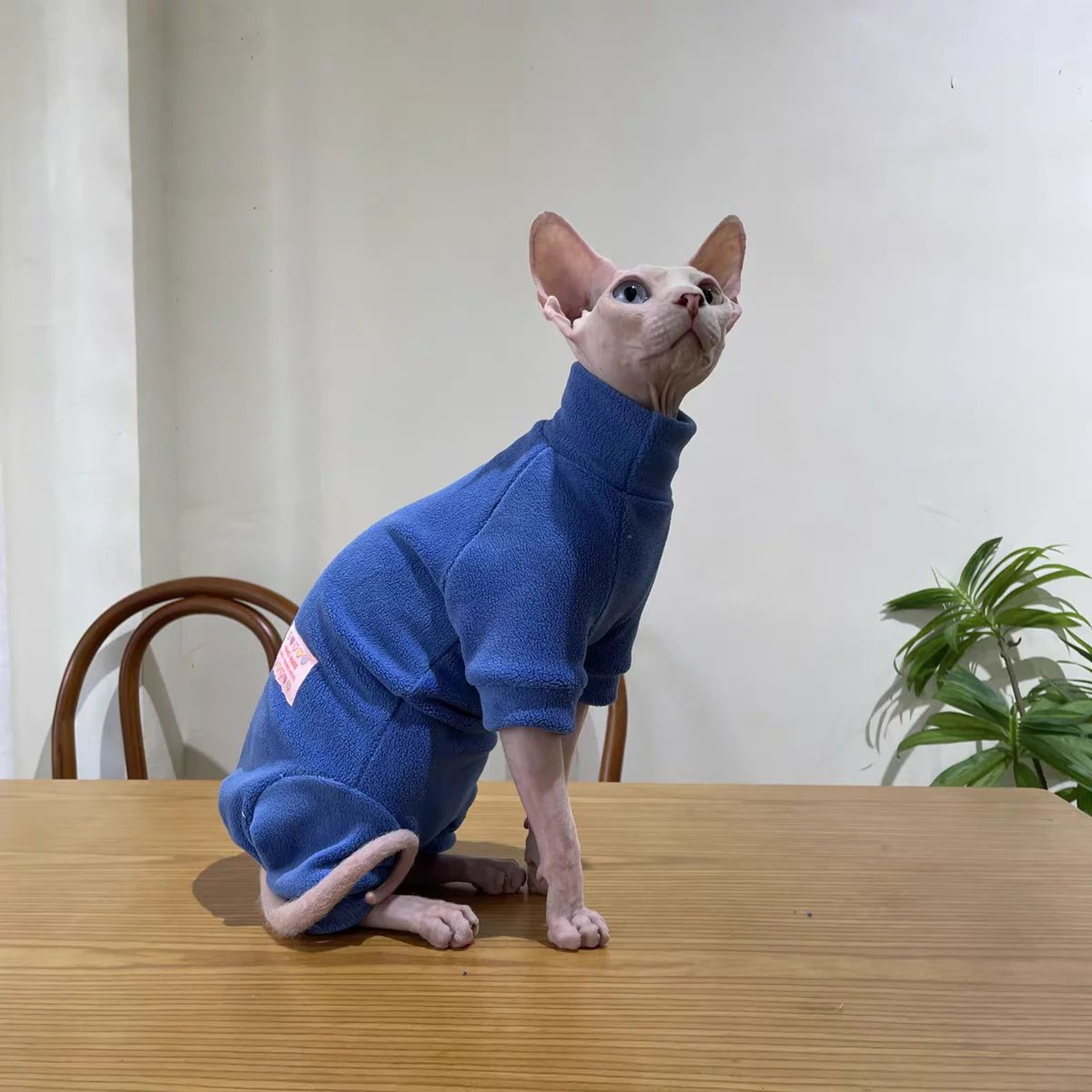 Warm Fleece 4Legged Sphynx Cat Jumpsuit  Soft Thermal Pajama Sweater For Sphynx Devon Rex  Hairless 8